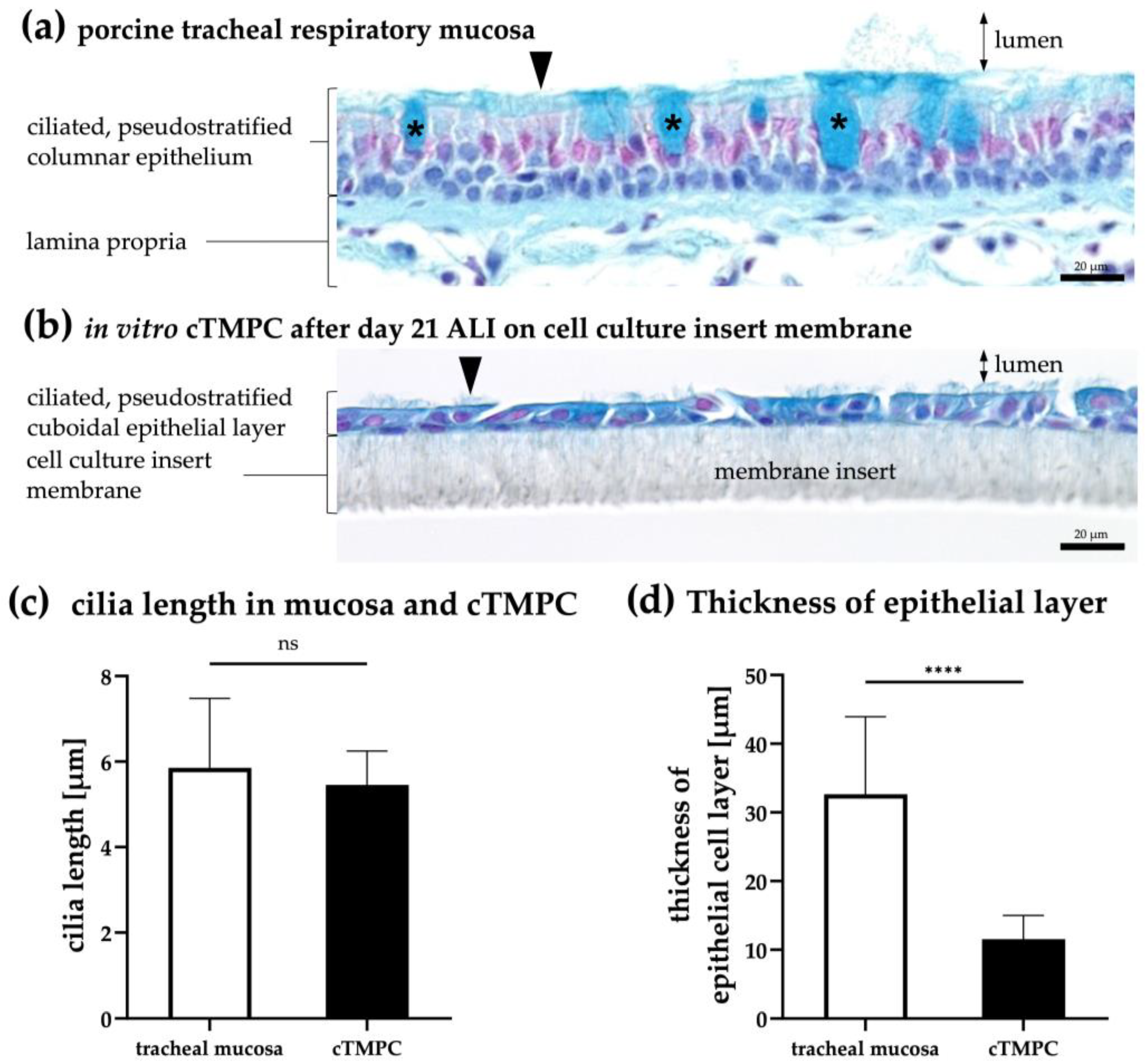 Pharmaceutics 17 00462 g003