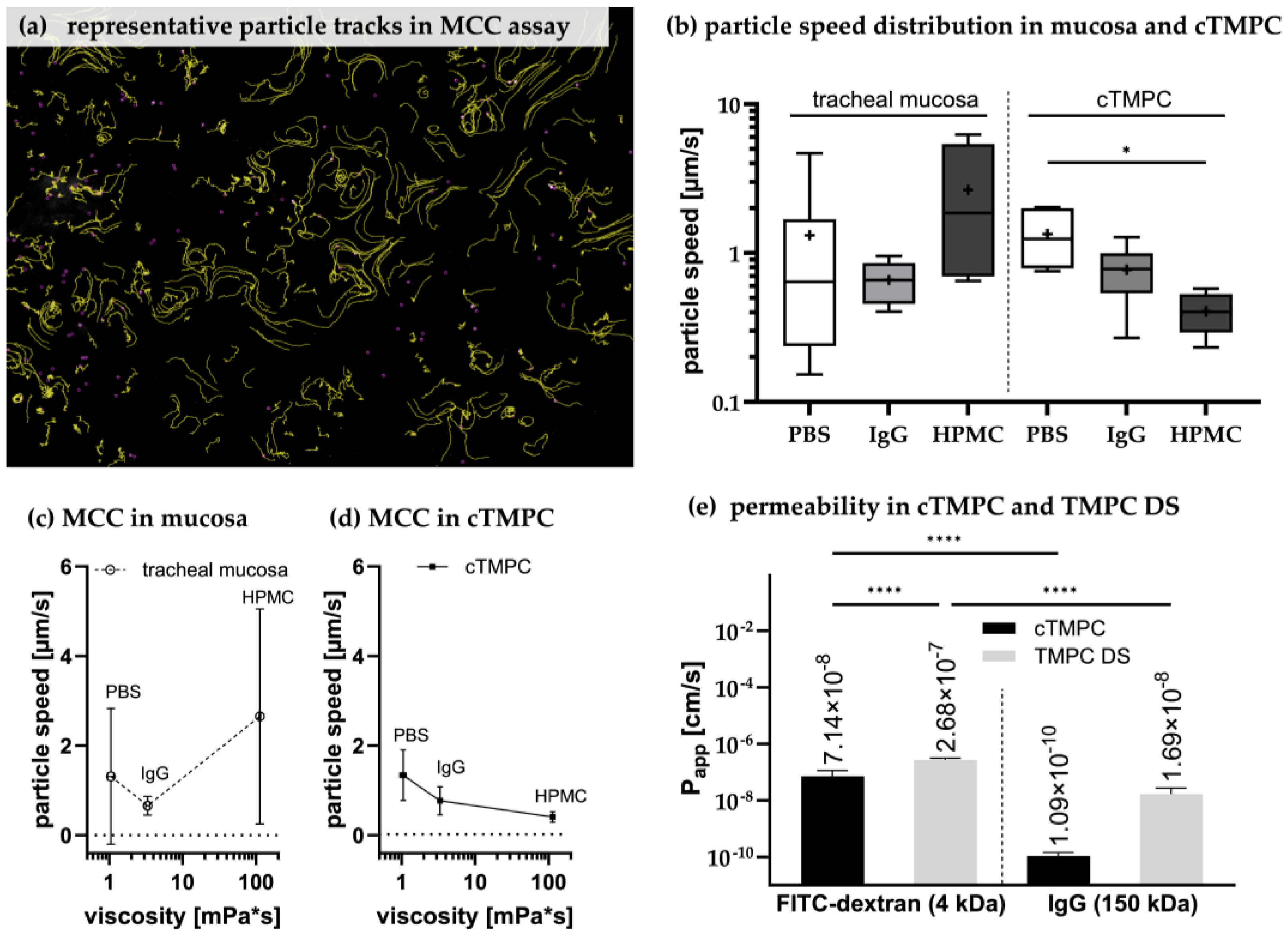 Pharmaceutics 17 00462 g007