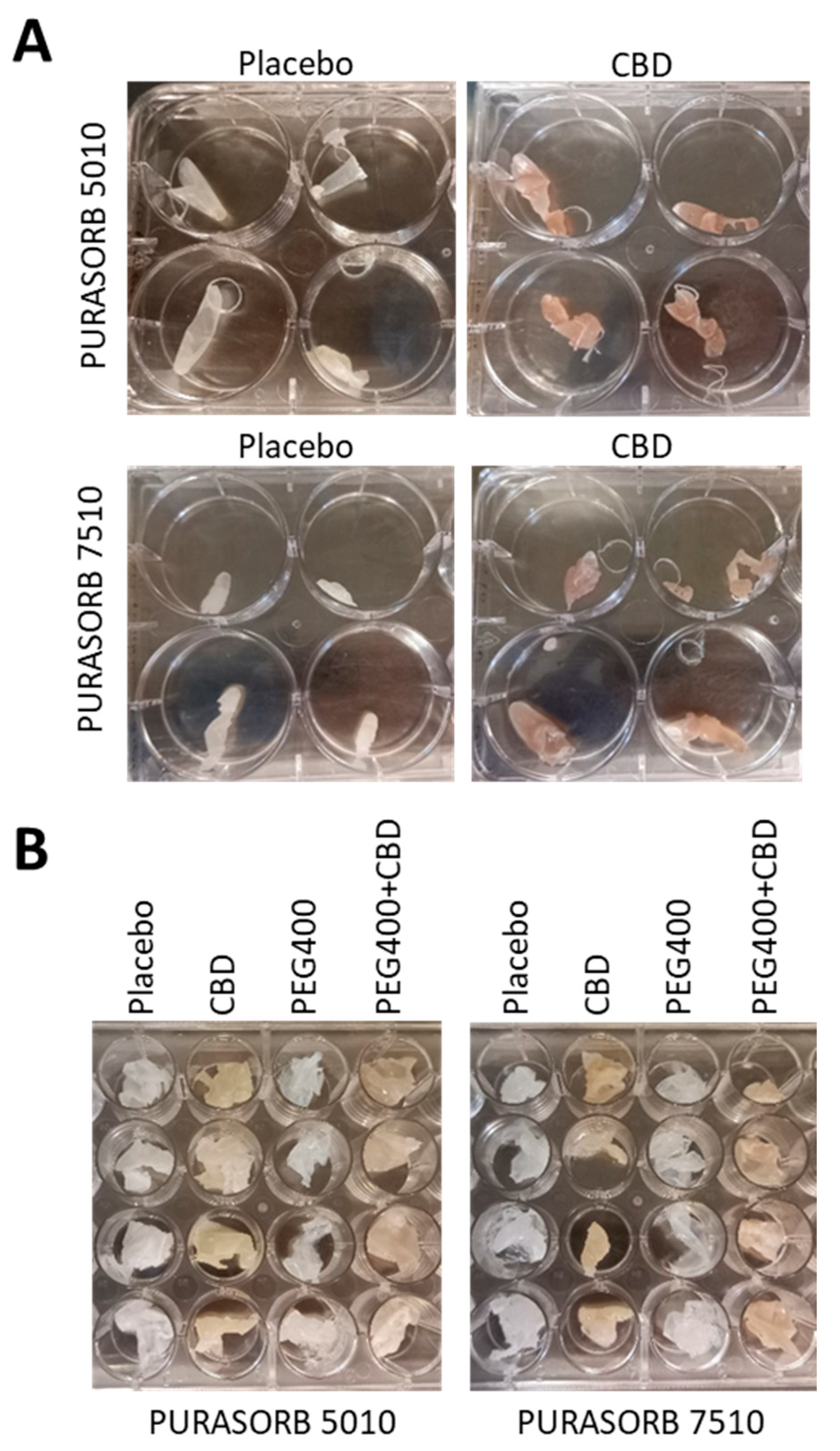 Pharmaceutics 17 00463 g001 Pharmaceutics 17 00463 g001