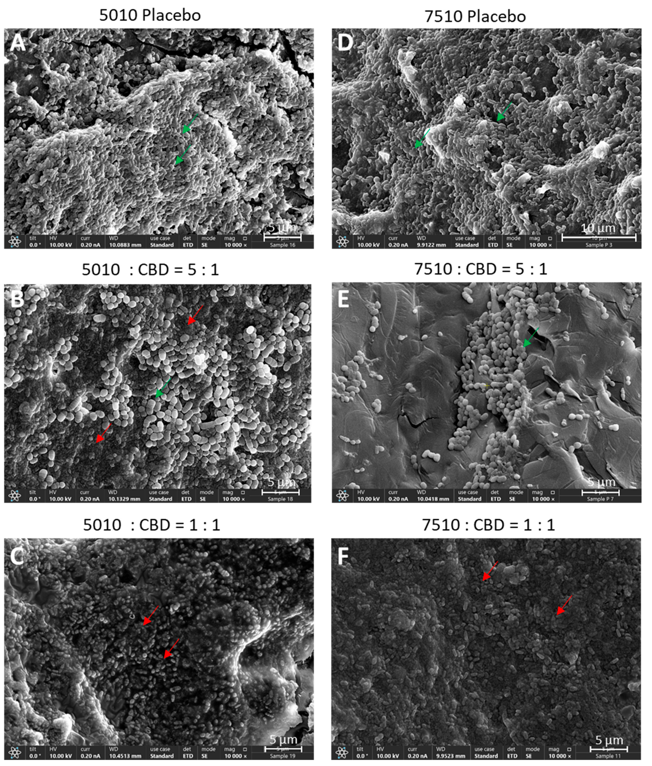Pharmaceutics 17 00463 g003 Pharmaceutics 17 00463 g003