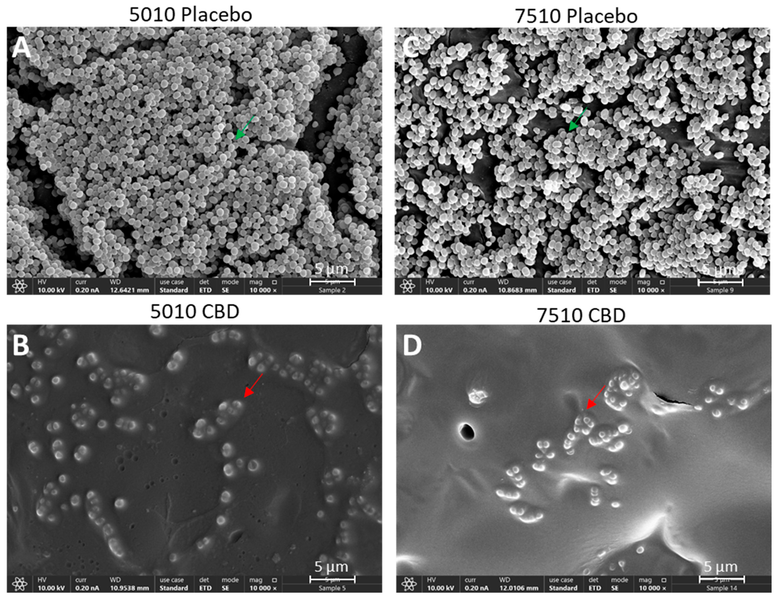 Pharmaceutics 17 00463 g005 Pharmaceutics 17 00463 g005