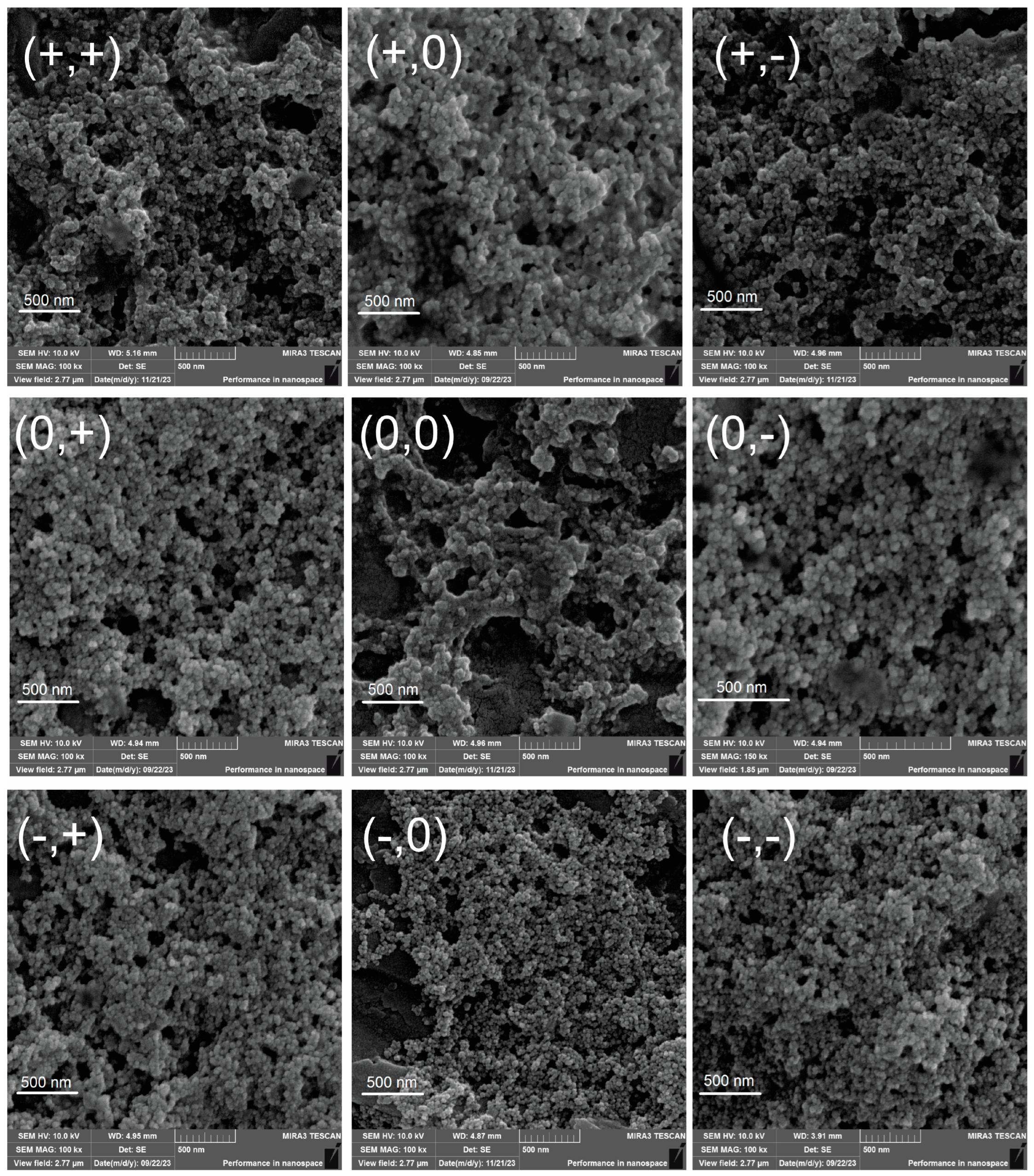 Pharmaceutics 17 00467 g001