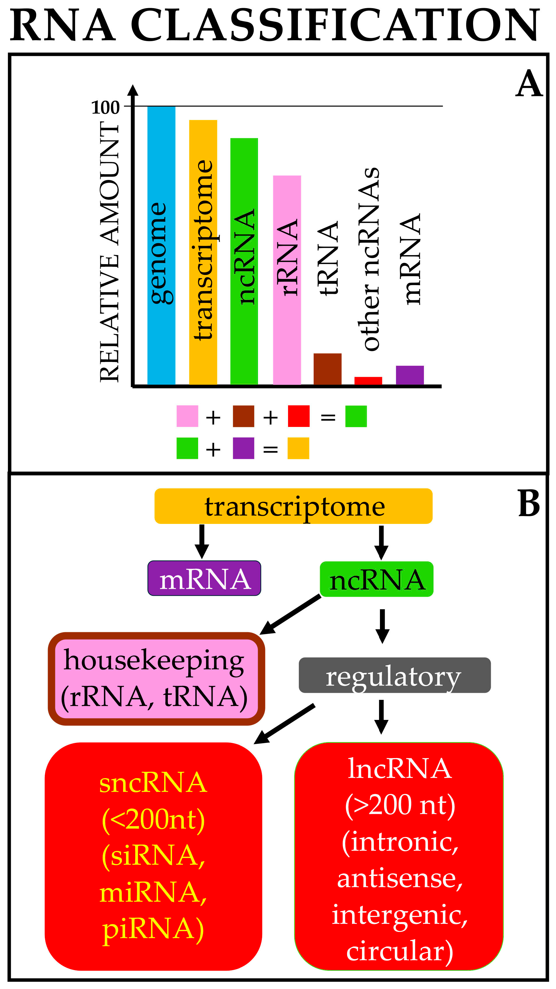 Targeting Regulatory Noncoding RNAs in Human Cancer: The
