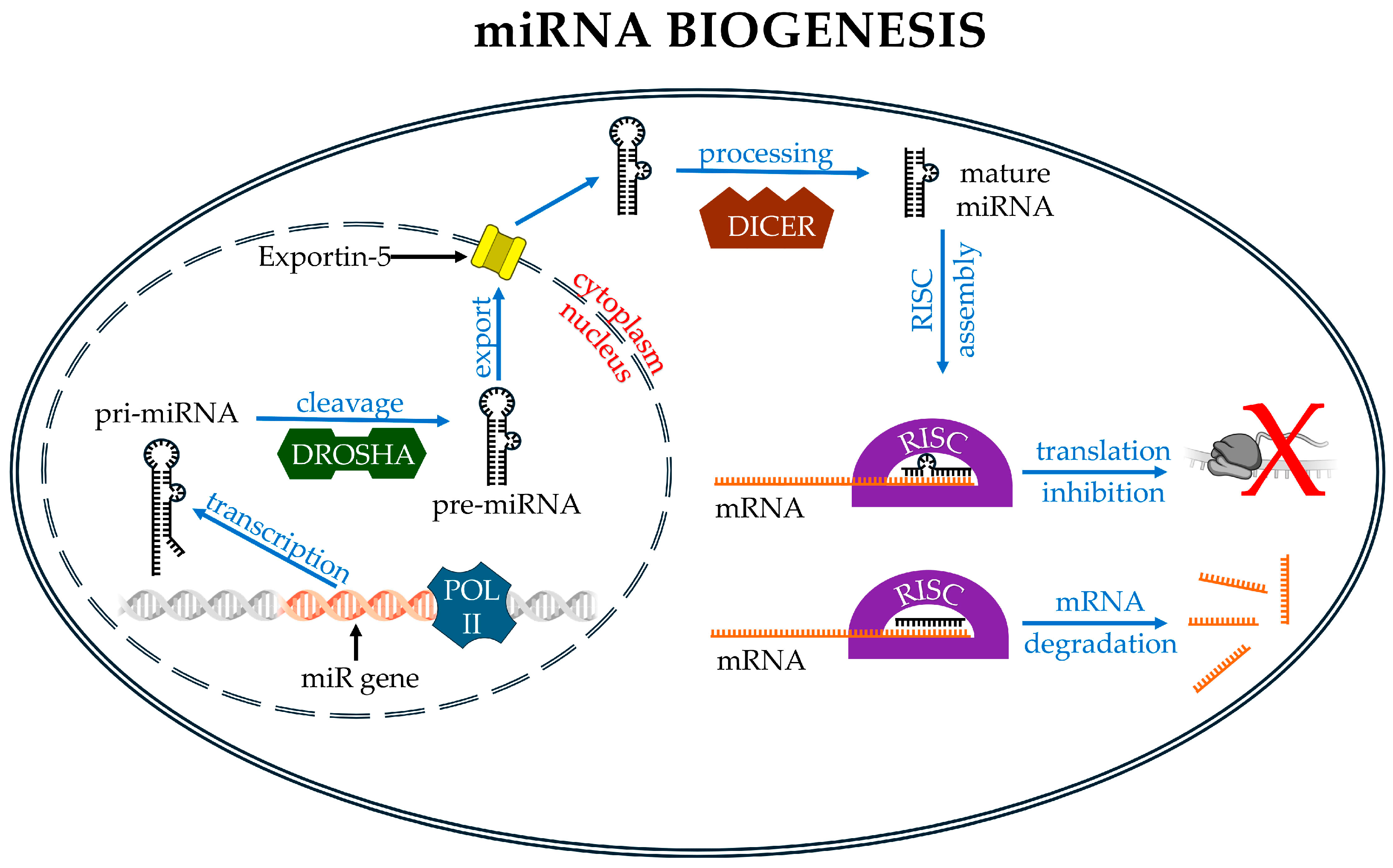 Pharmaceutics 17 00471 g002 Pharmaceutics 17 00471 g002