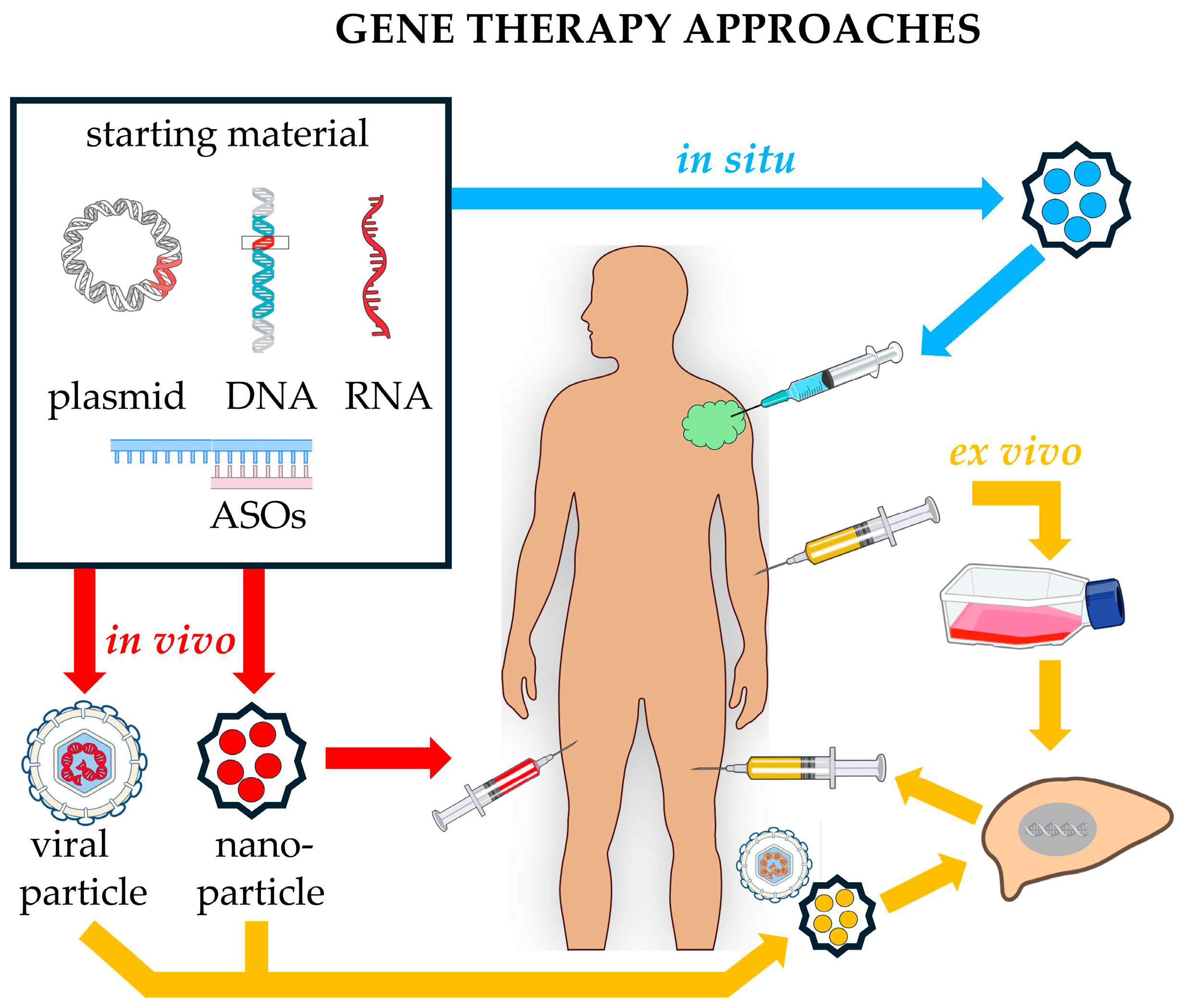 Pharmaceutics 17 00471 g003 Pharmaceutics 17 00471 g003