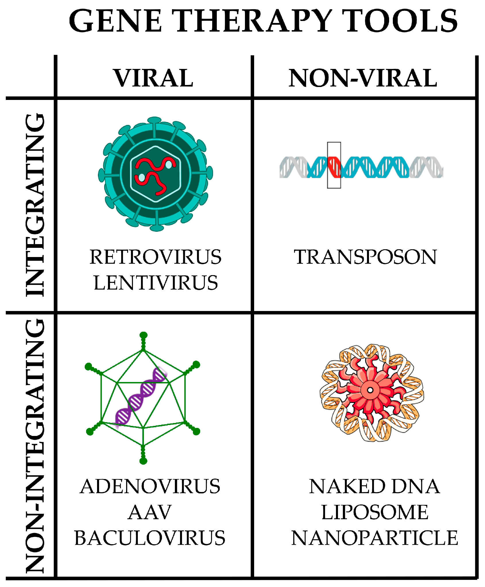 Pharmaceutics 17 00471 g004 Pharmaceutics 17 00471 g004