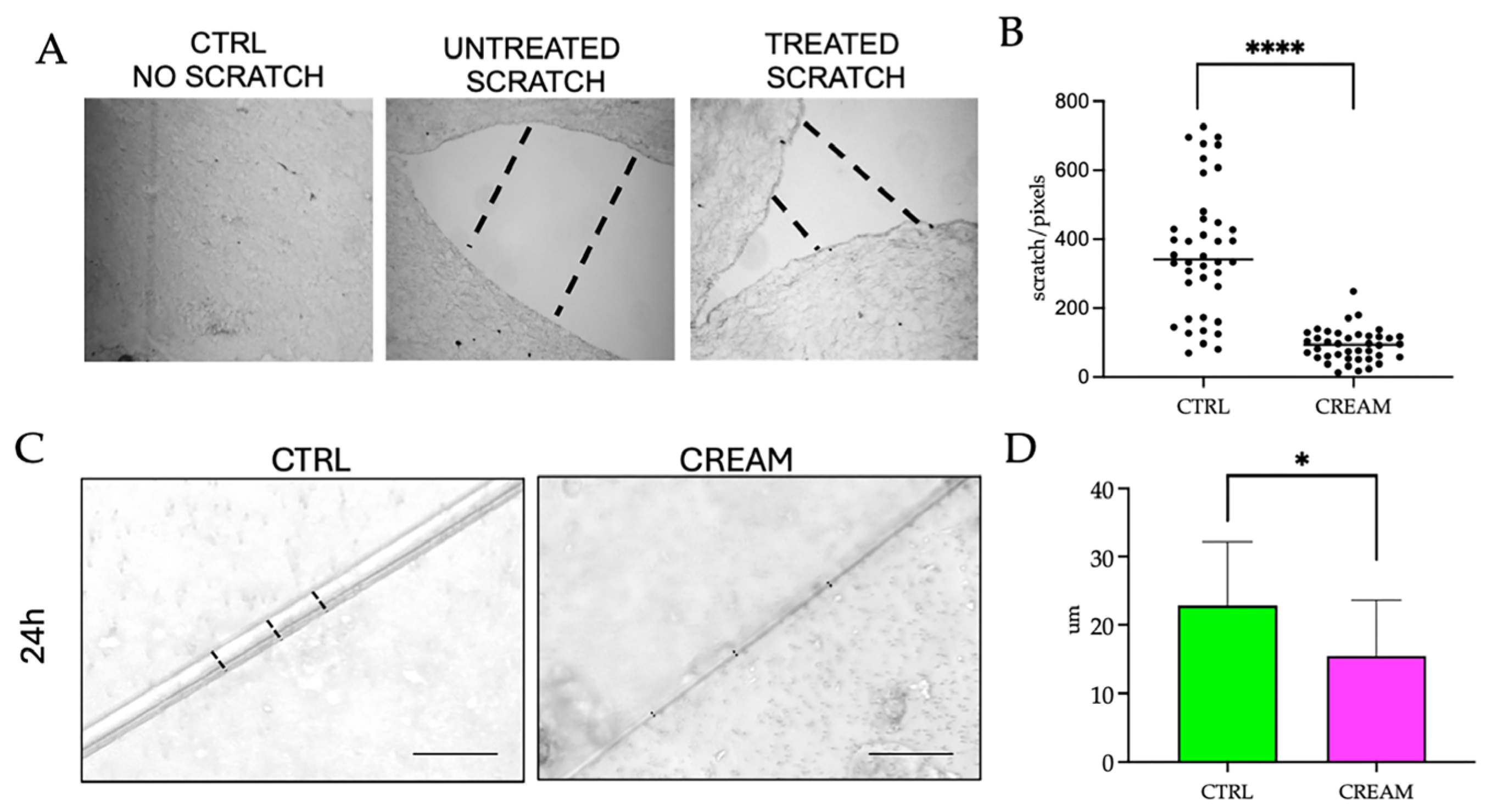 Pharmaceutics 17 00472 g002 Pharmaceutics 17 00472 g002