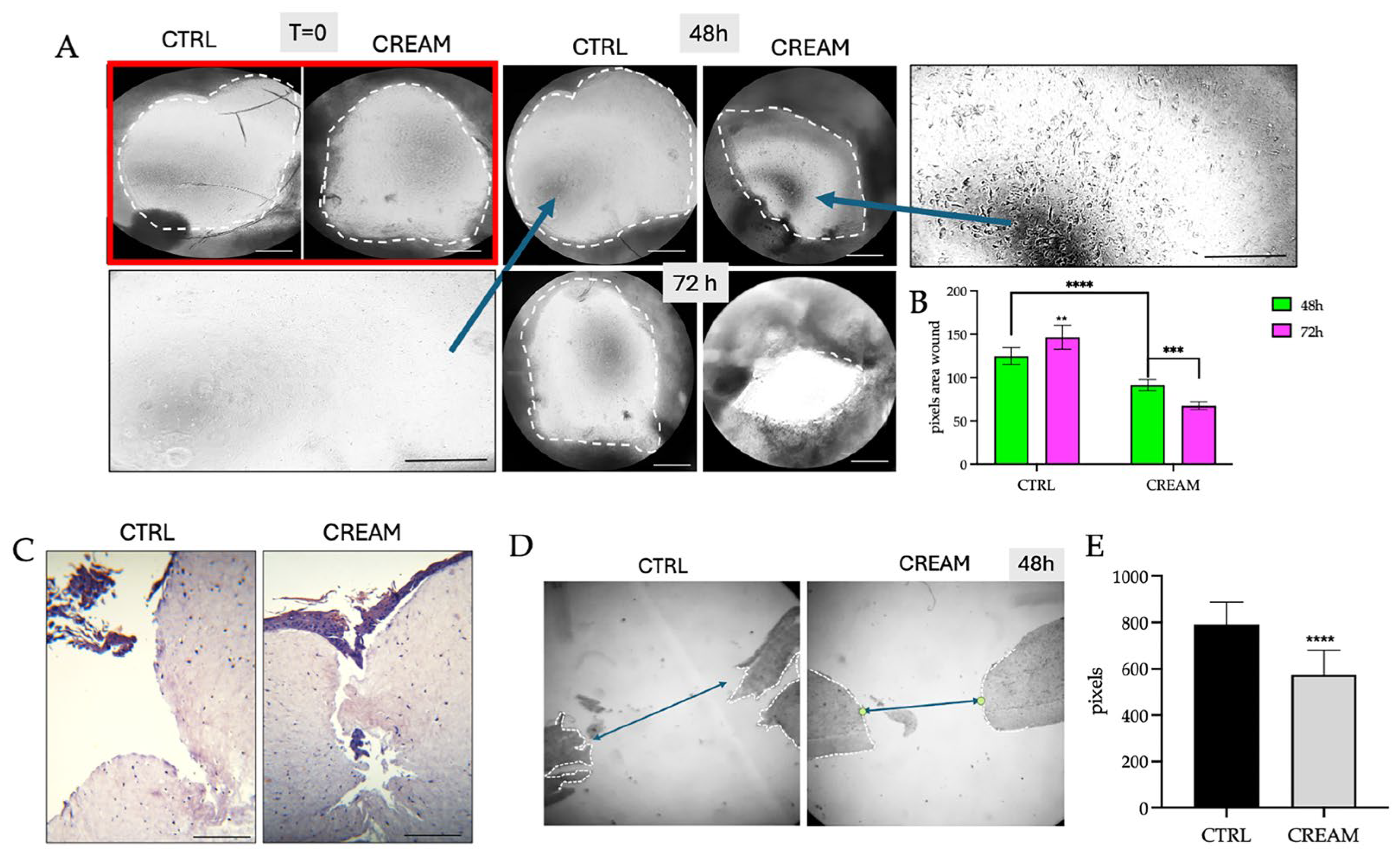 Pharmaceutics 17 00472 g003 Pharmaceutics 17 00472 g003