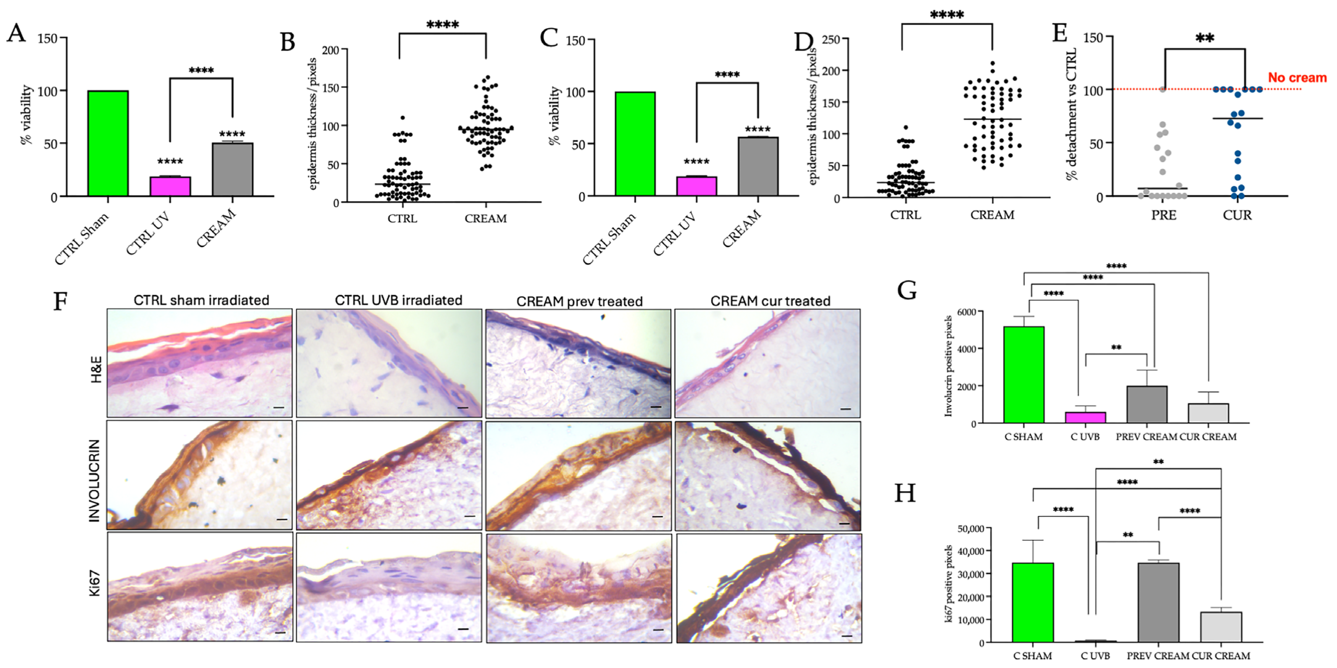Pharmaceutics 17 00472 g005 Pharmaceutics 17 00472 g005