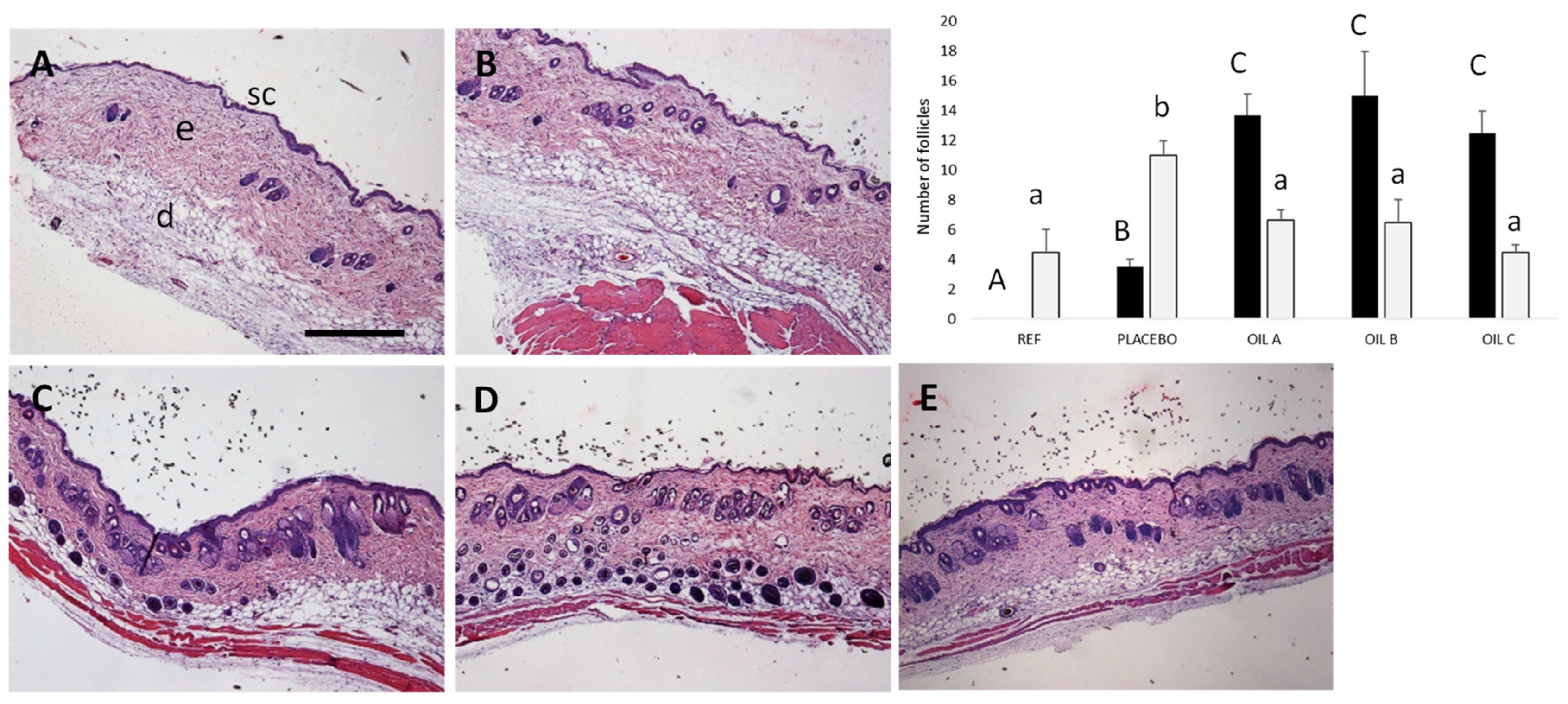 Pharmaceutics 17 00475 g007