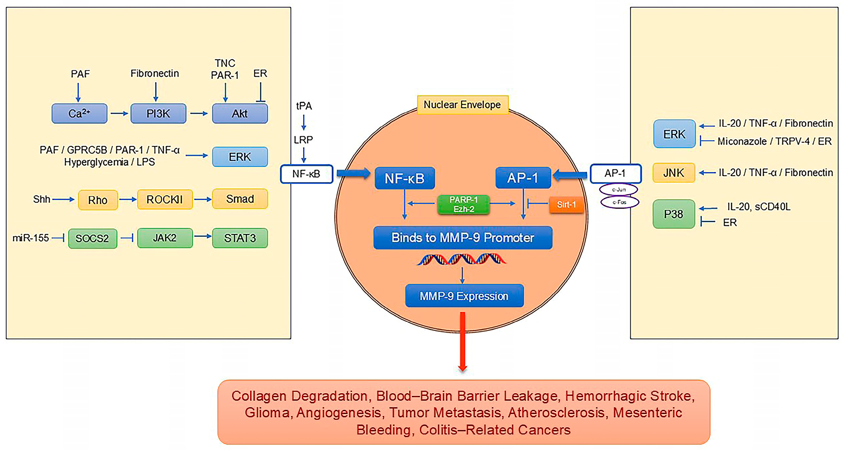 Pharmaceutics 17 00479 g002