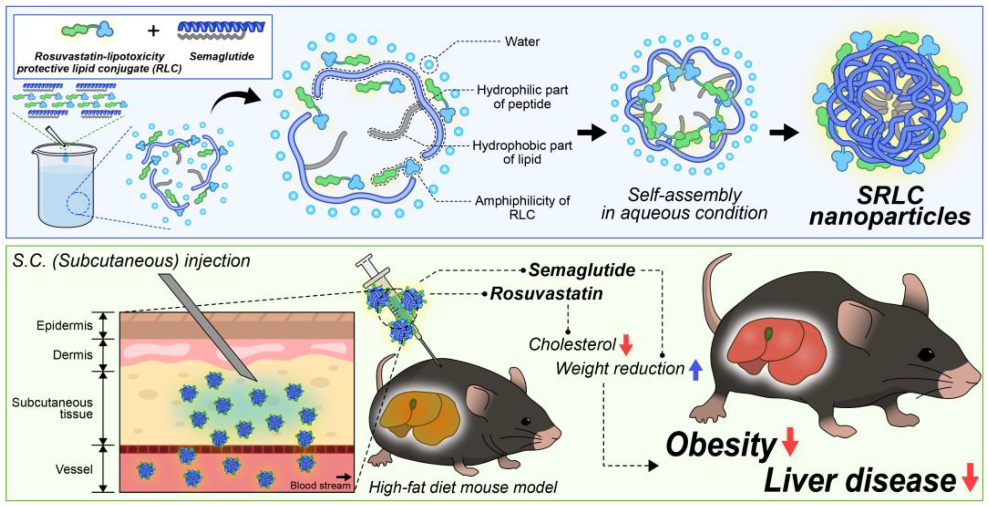 Pharmaceutics 17 00480 g001