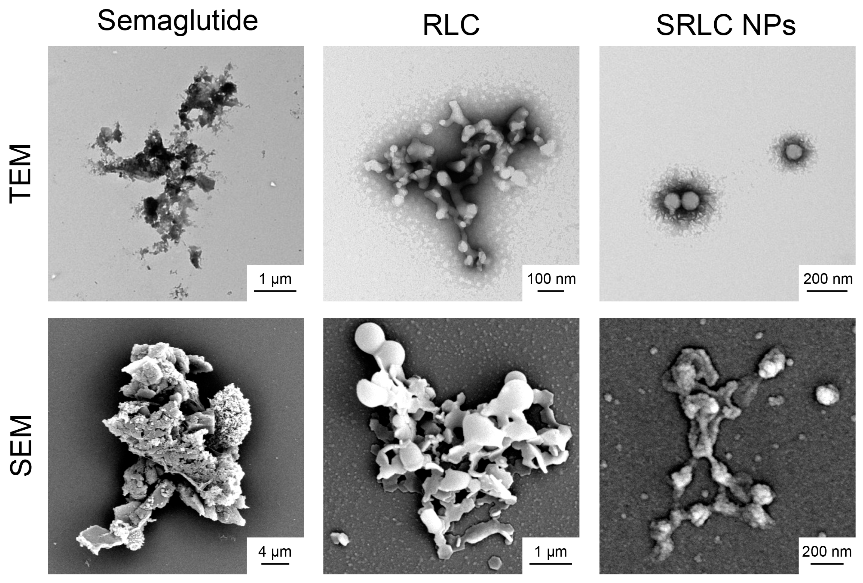 Pharmaceutics 17 00480 g005