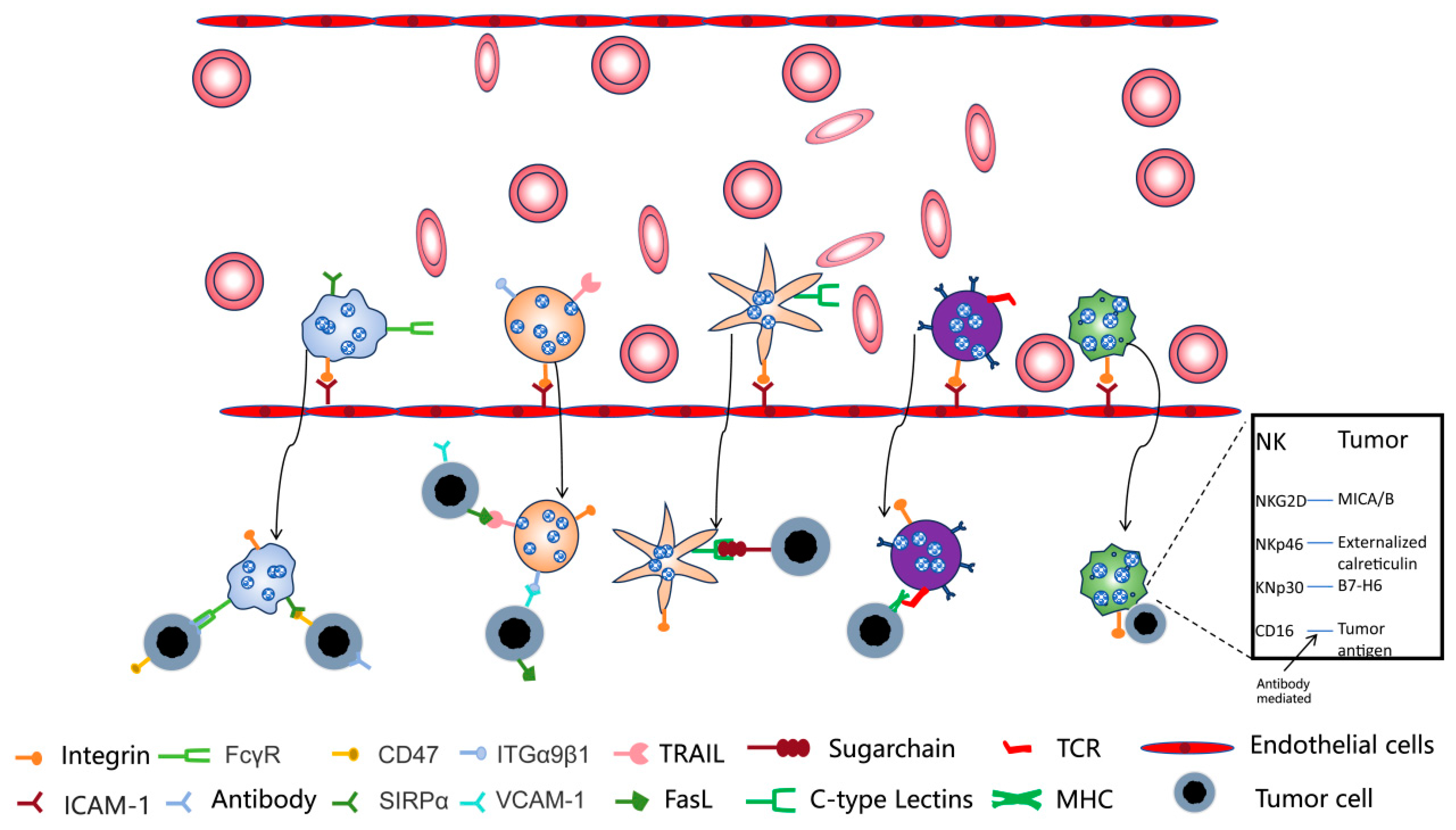 Pharmaceutics 17 00481 g003