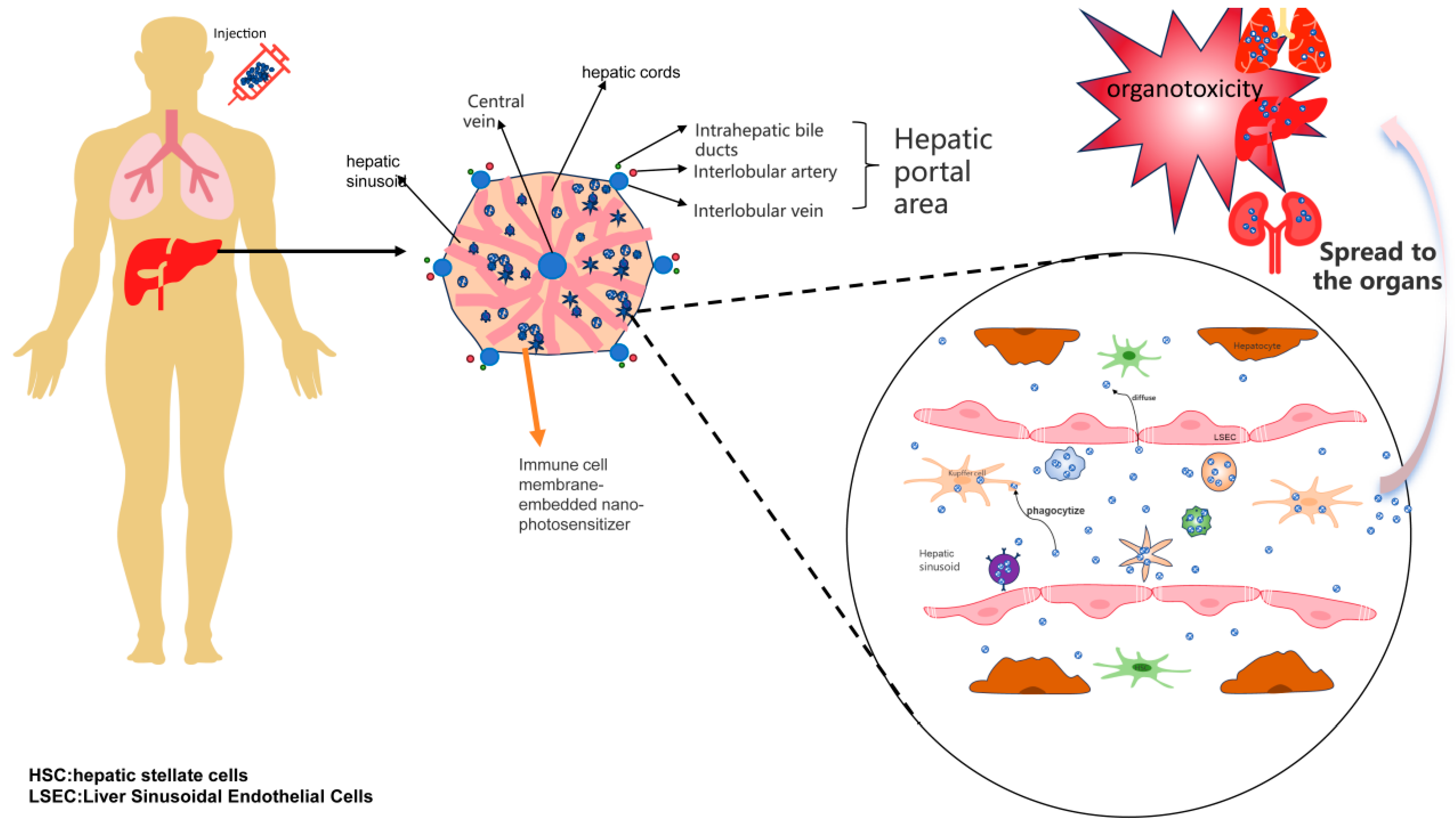 Pharmaceutics 17 00481 g004