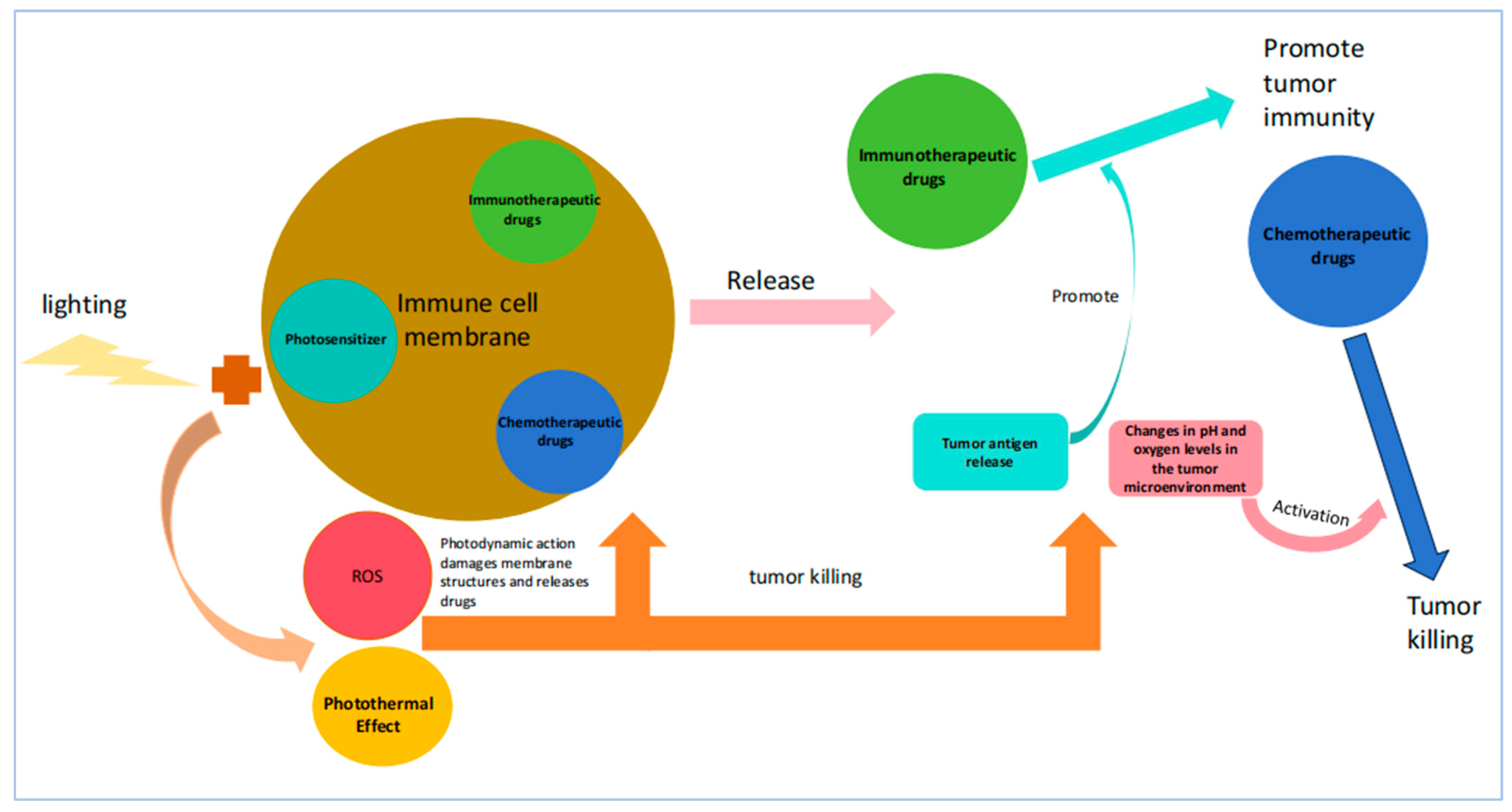 Pharmaceutics 17 00481 g005