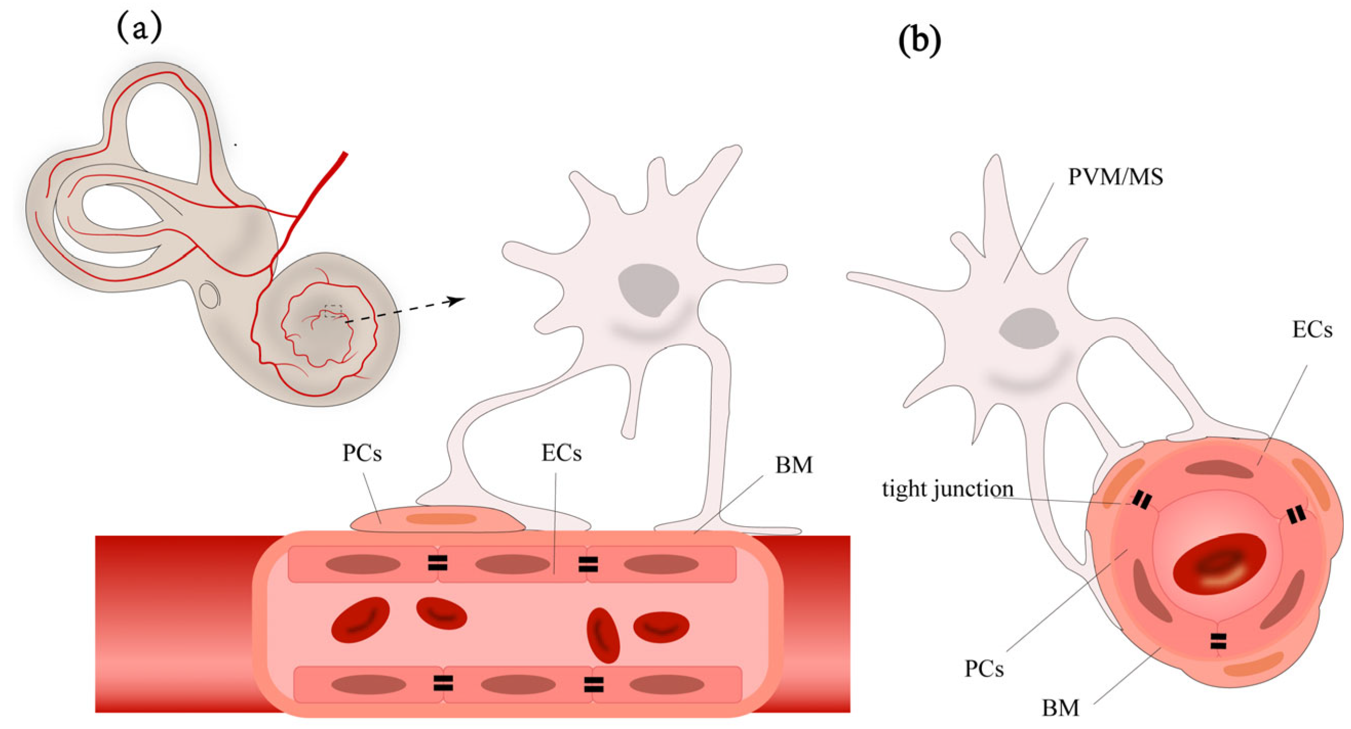 Pharmaceutics 17 00482 g001