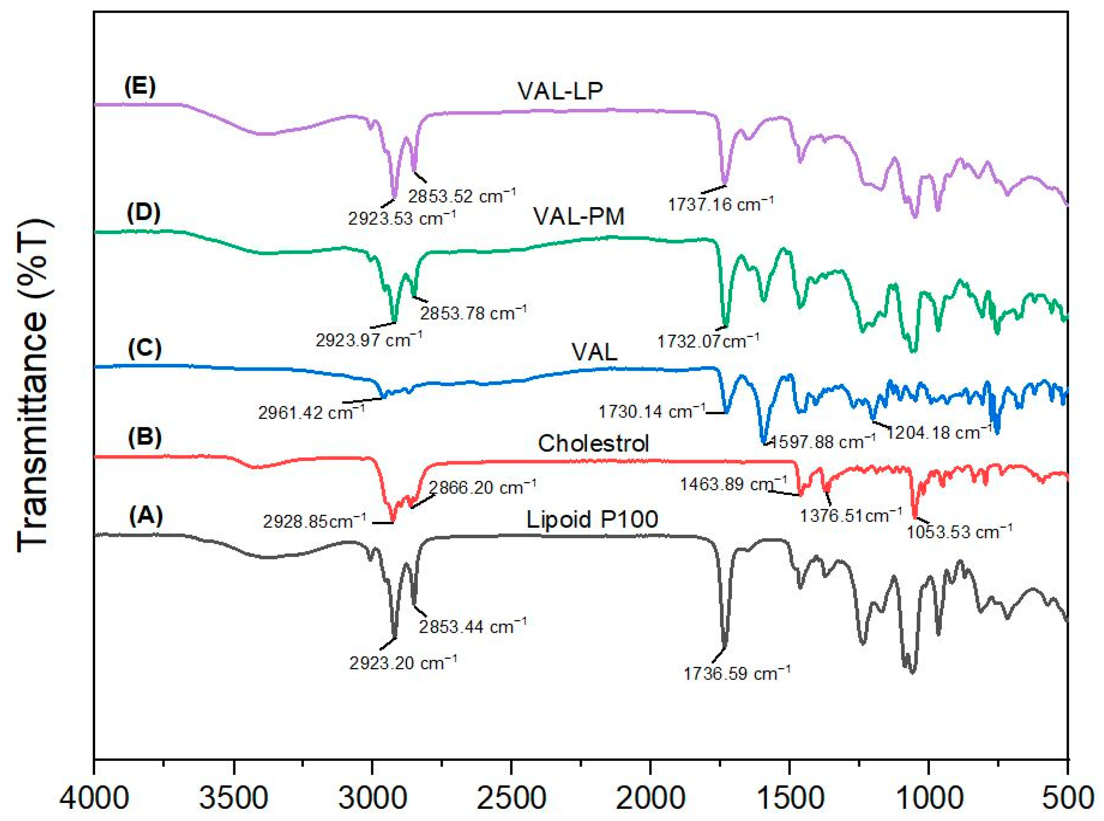 Pharmaceutics 17 00483 g004
