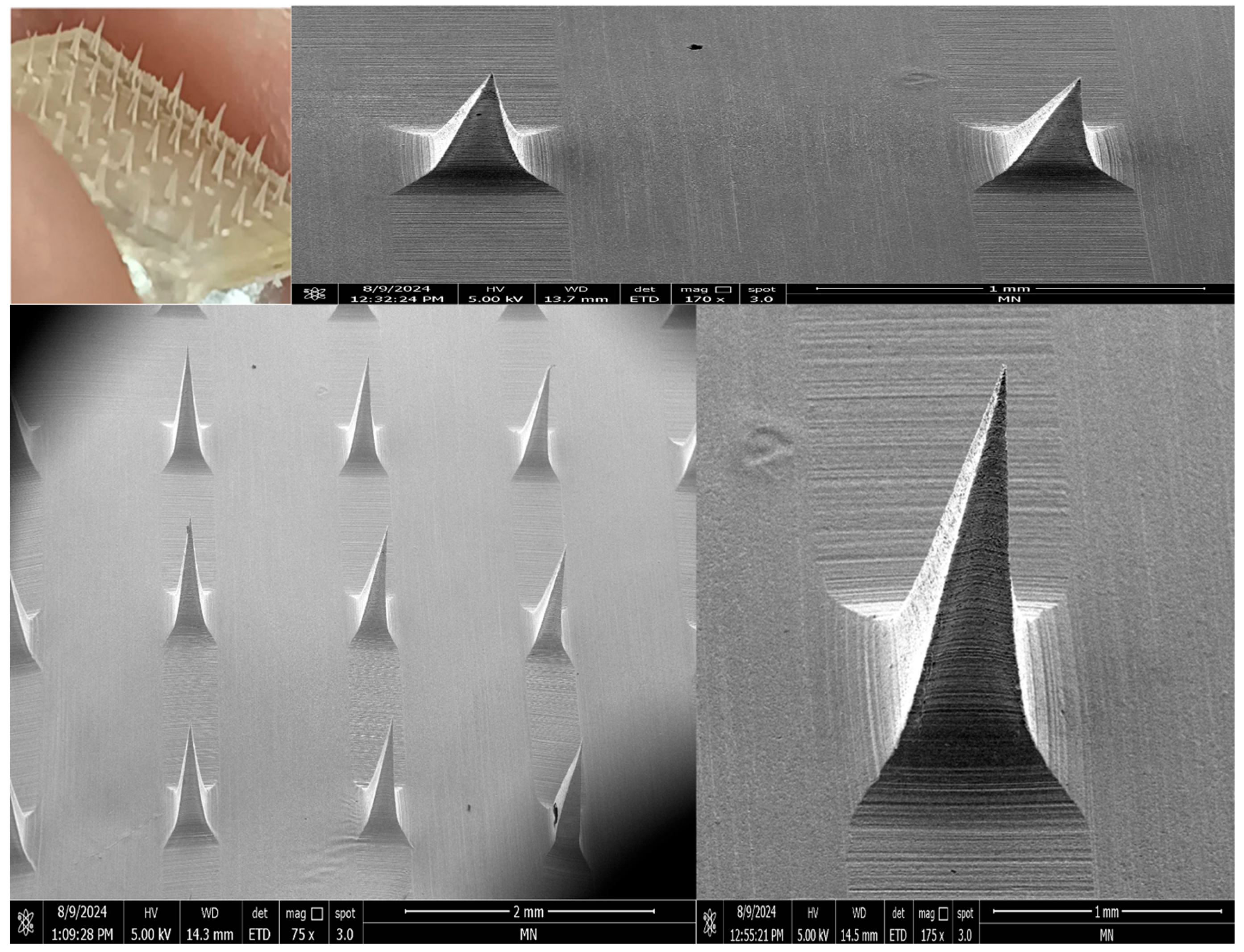 Pharmaceutics 17 00483 g010