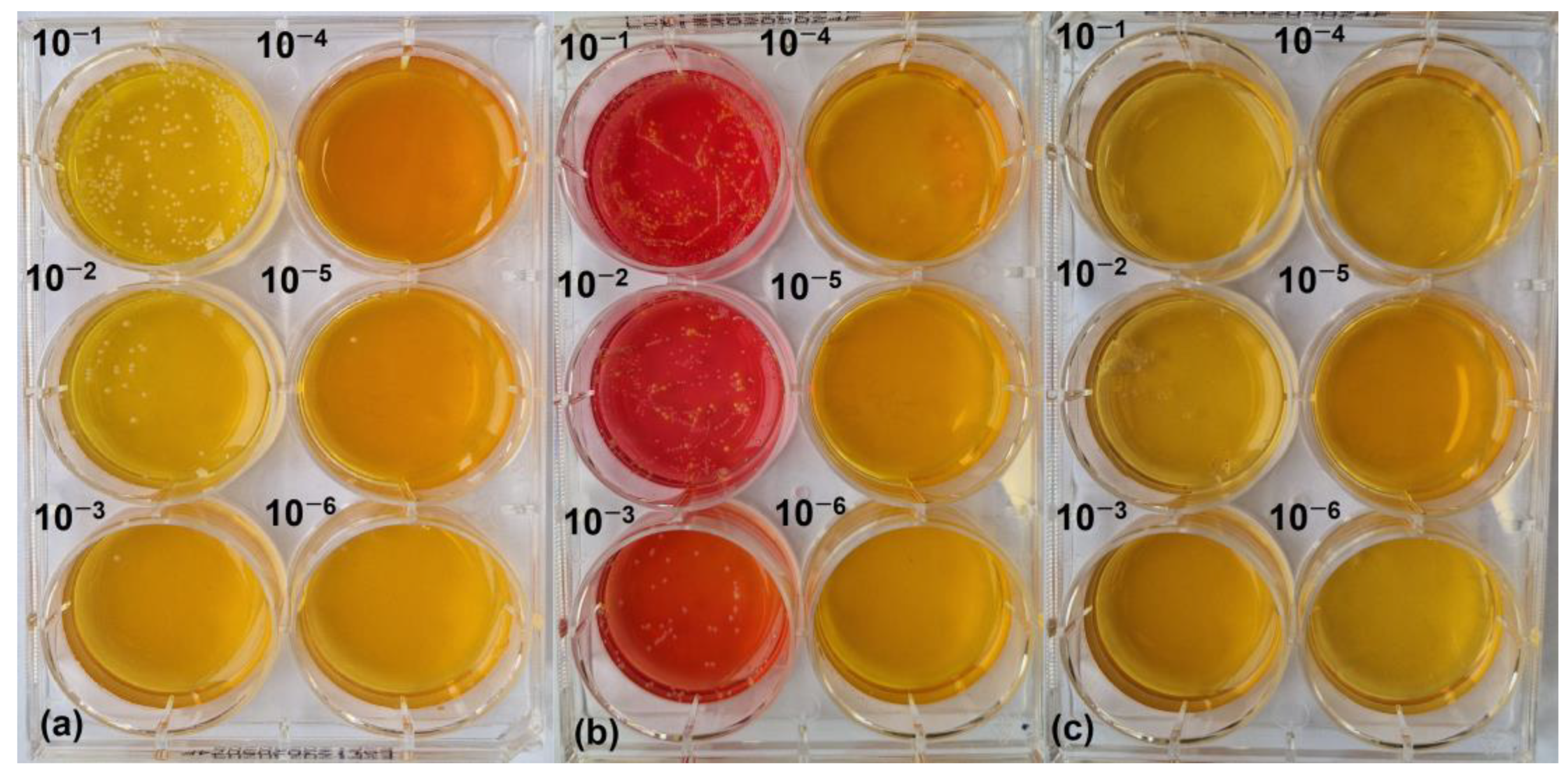 Pharmaceutics 17 00487 g002