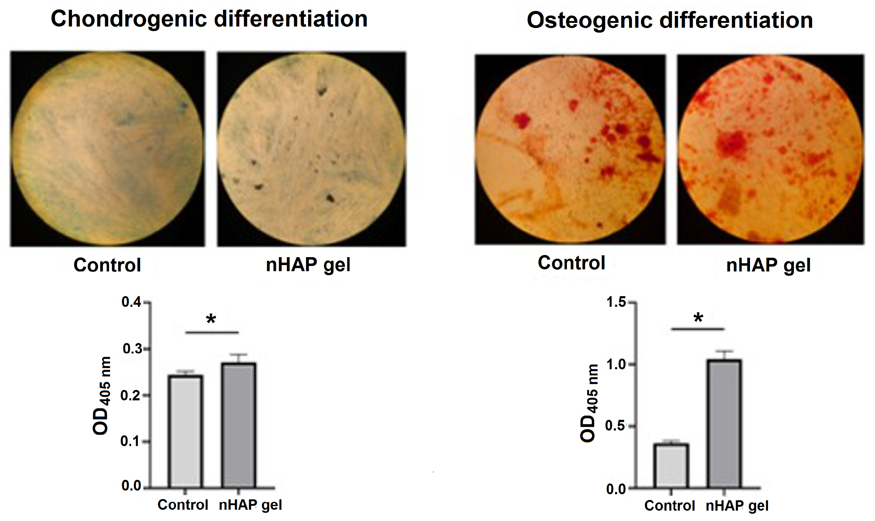 Pharmaceutics 17 00489 g005