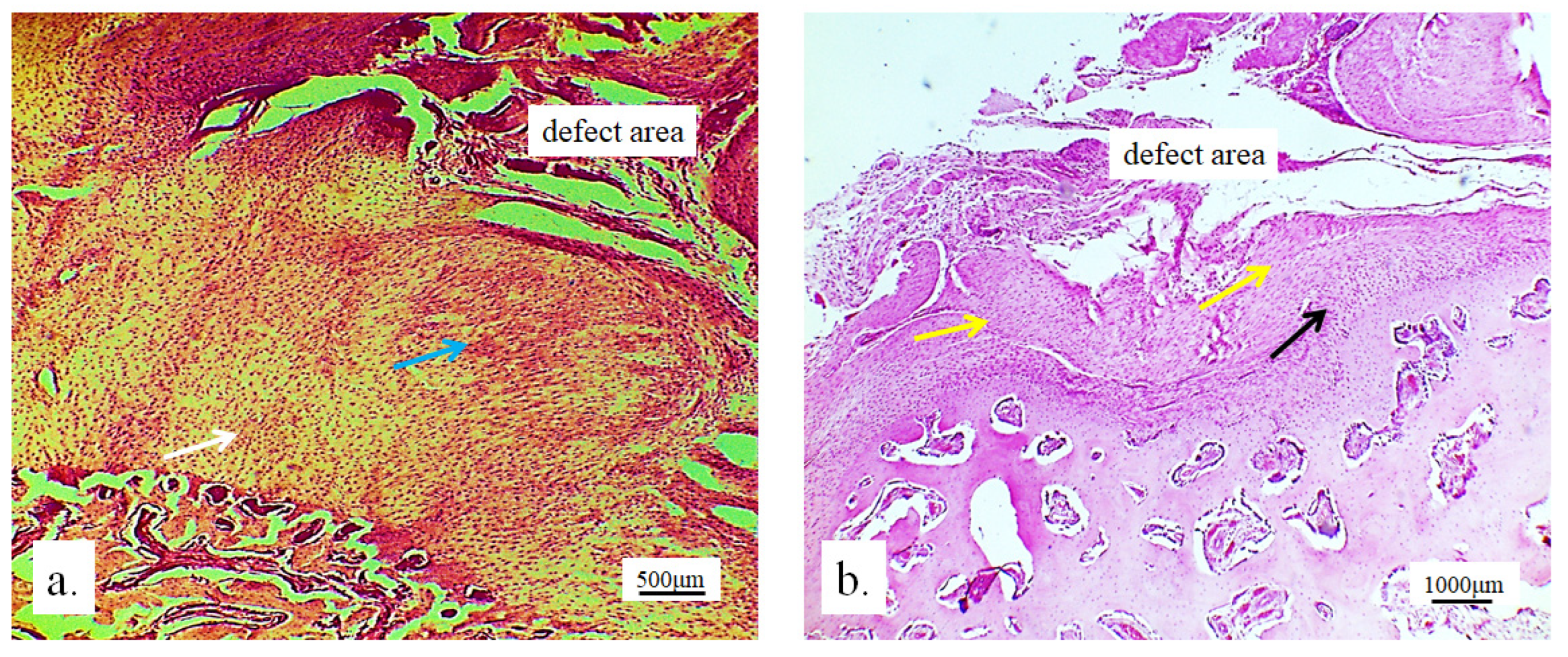Pharmaceutics 17 00489 g009