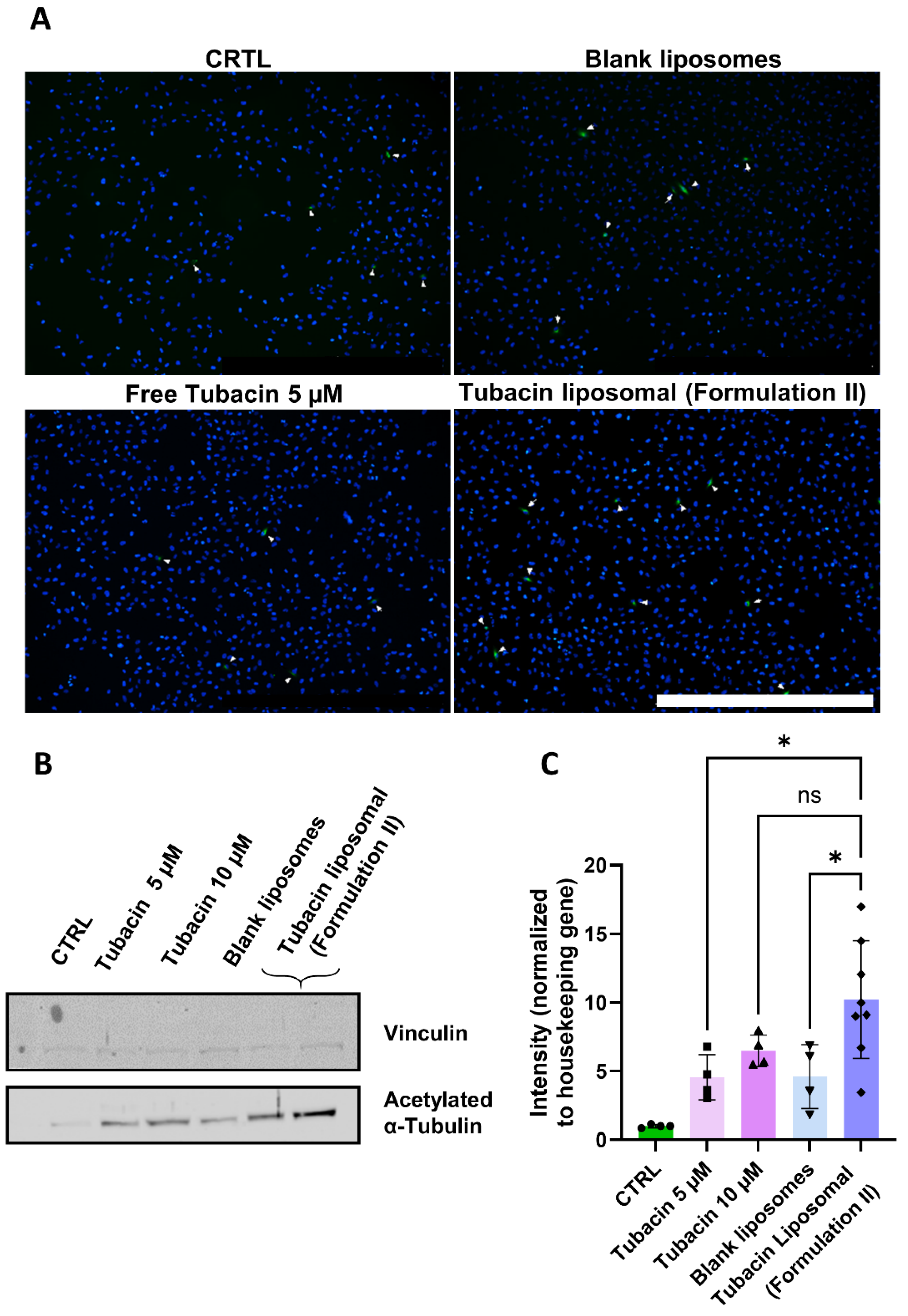 Pharmaceutics 17 00491 g003 Pharmaceutics 17 00491 g003