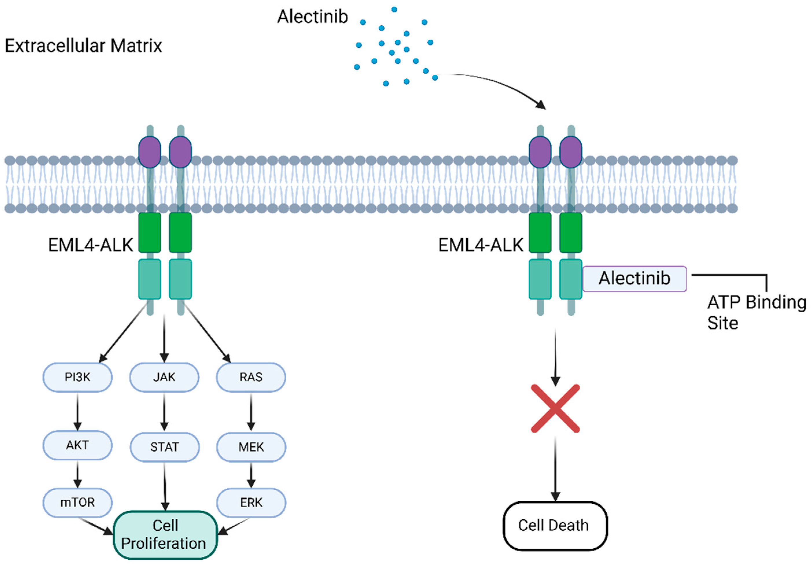 Pharmaceutics 17 00492 g001