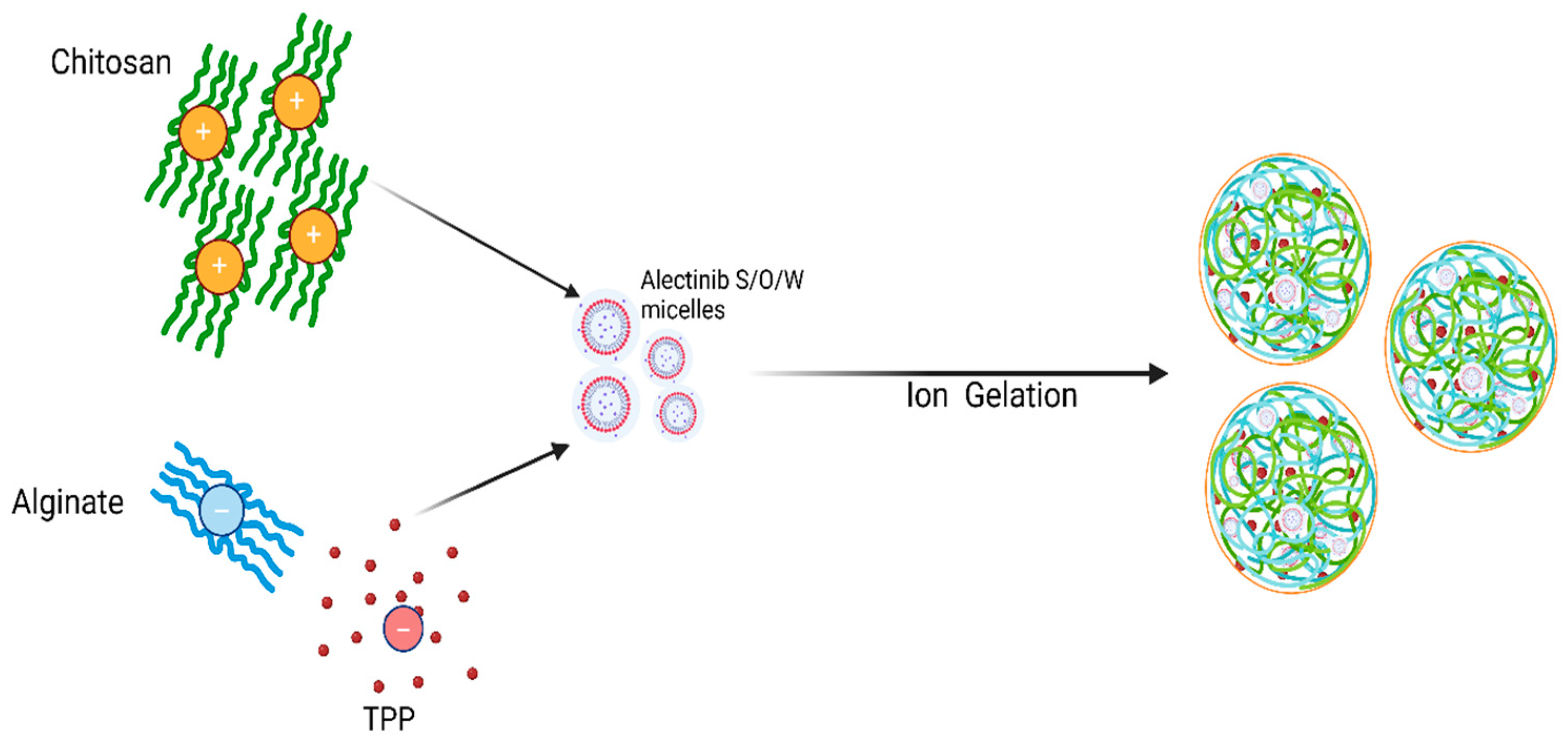 Pharmaceutics 17 00492 g002