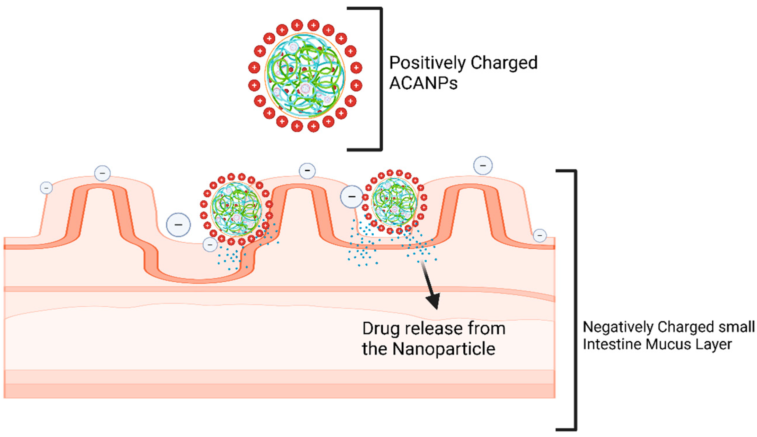 Pharmaceutics 17 00492 g013