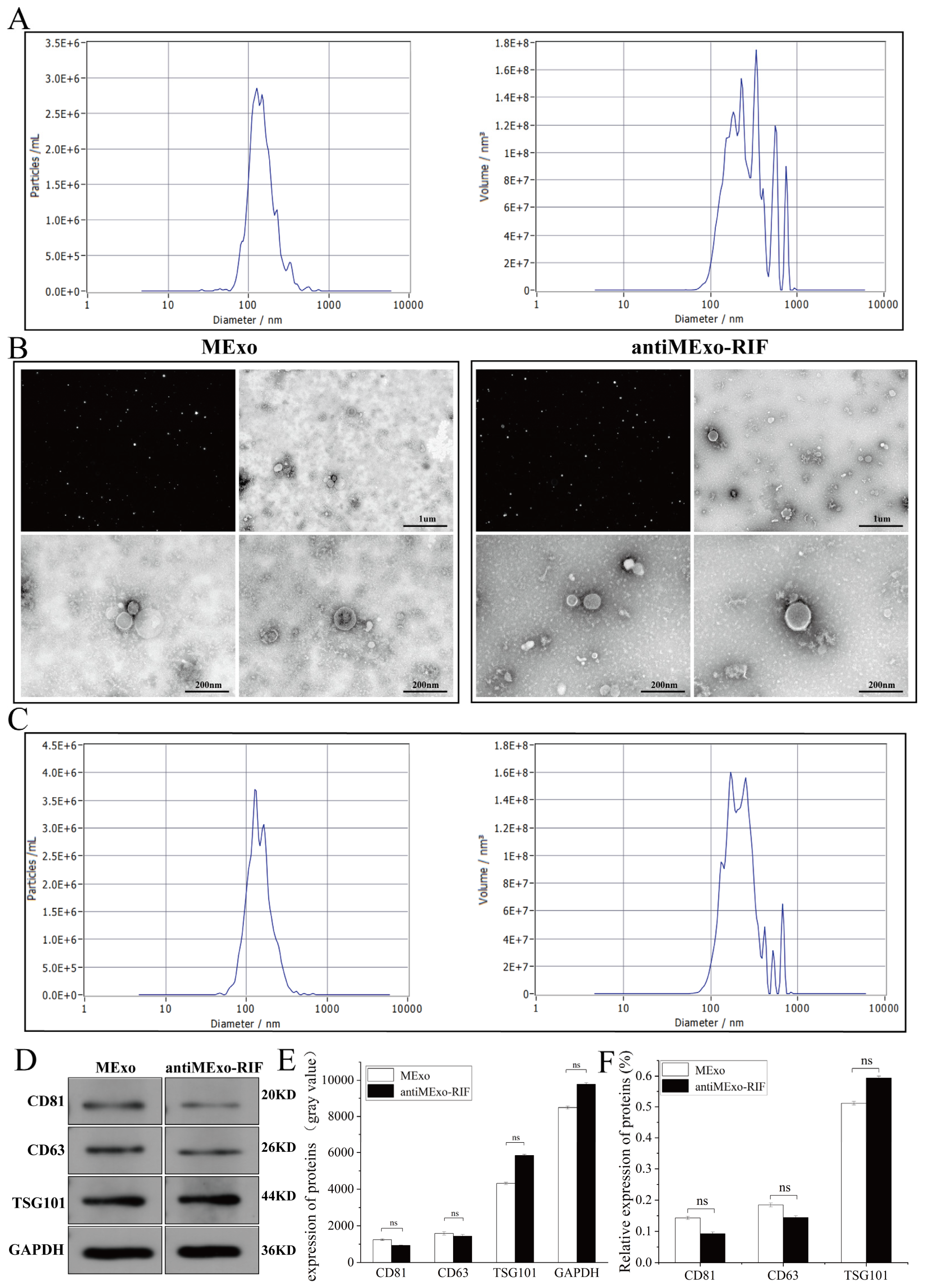 Pharmaceutics 17 00494 g001