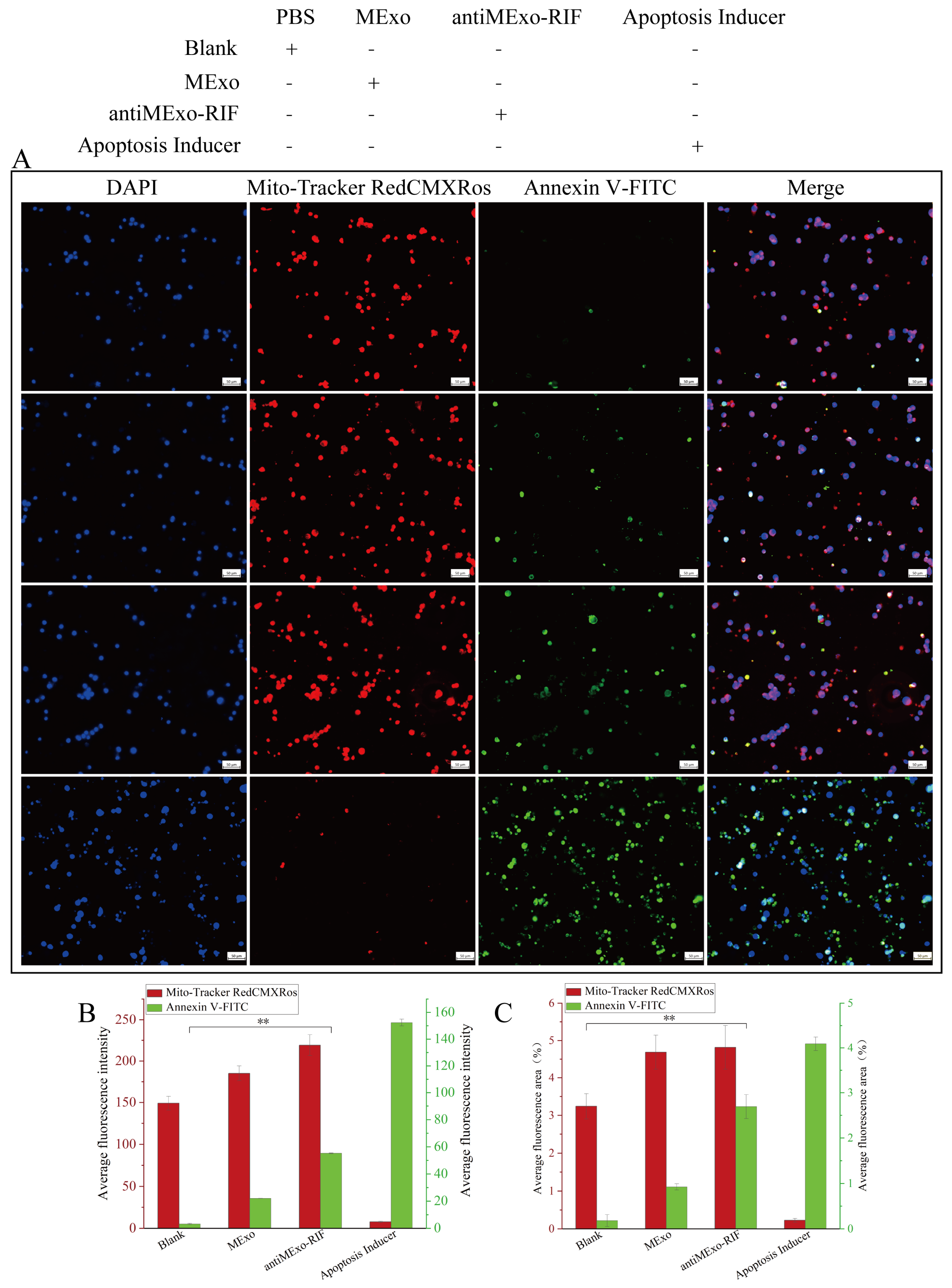 Pharmaceutics 17 00494 g011