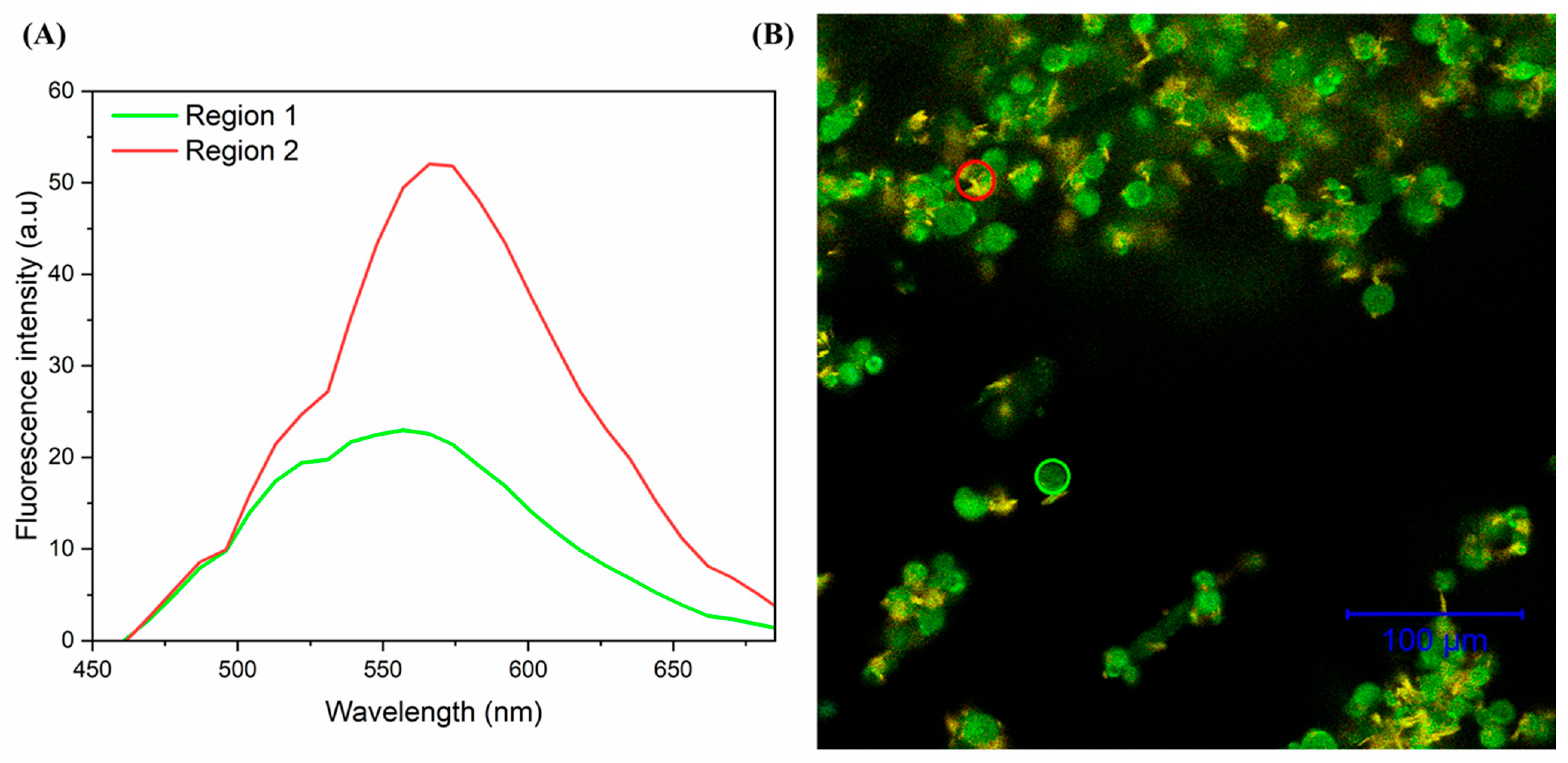 Pharmaceutics 17 00496 g006