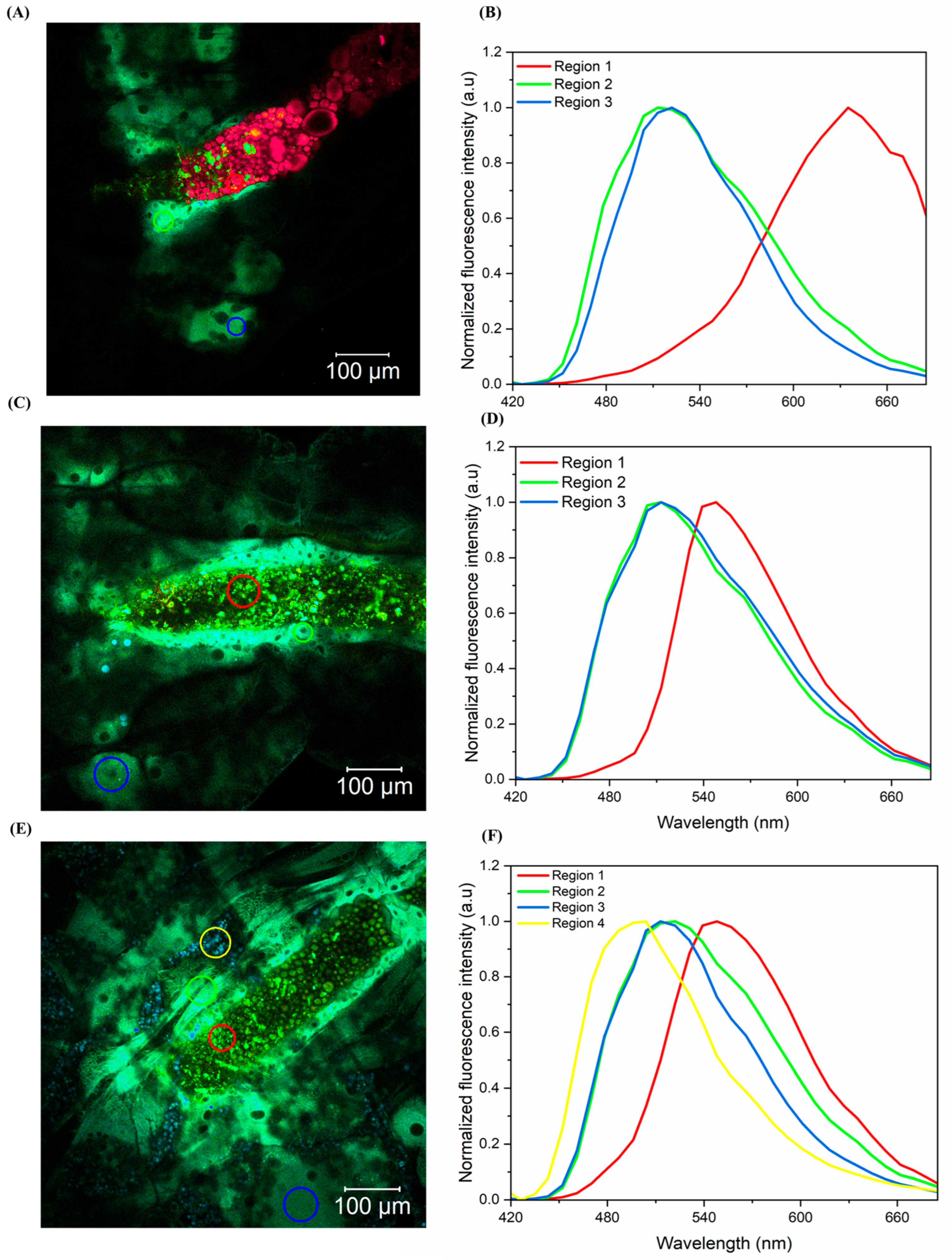 Pharmaceutics 17 00496 g015