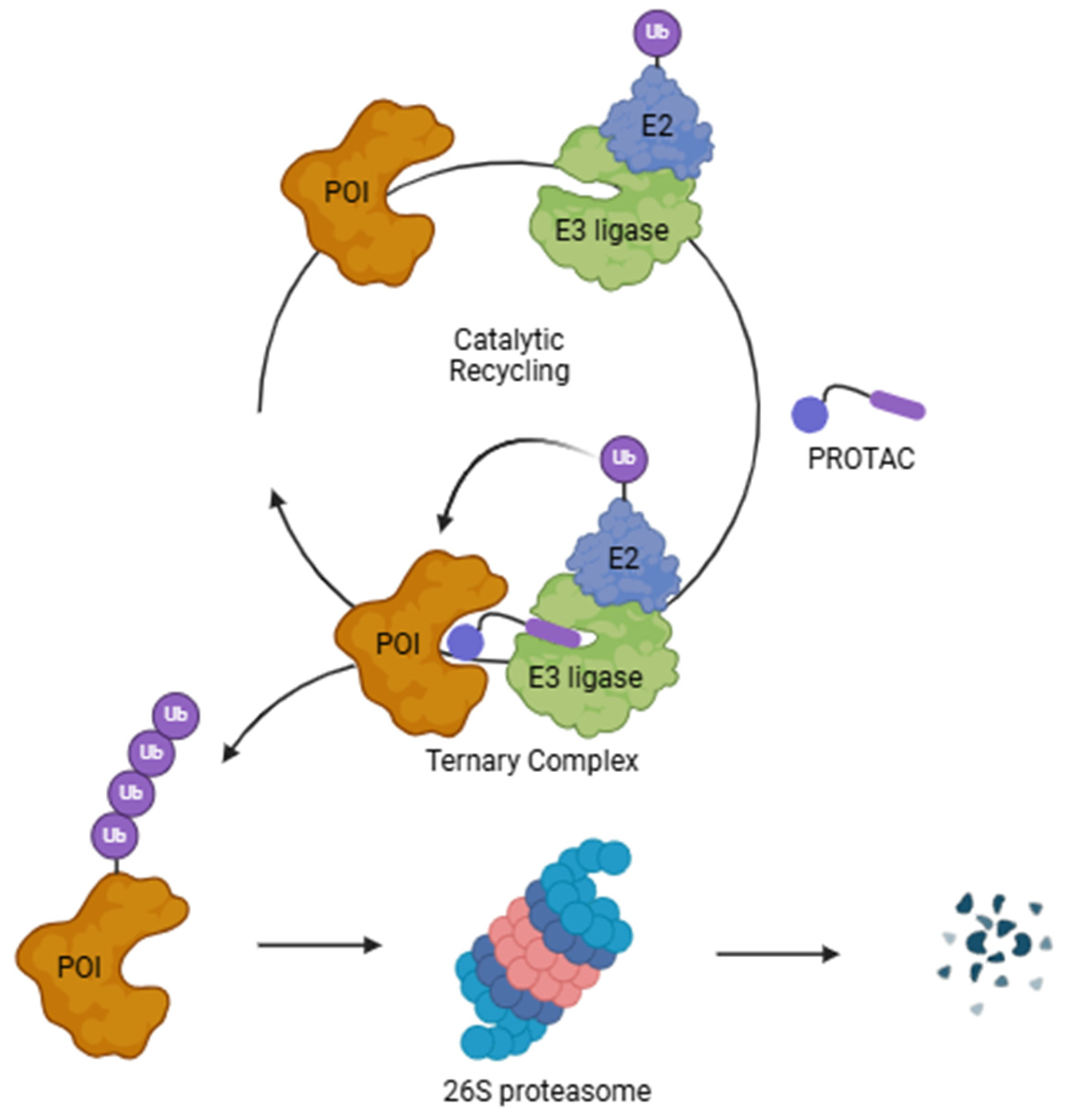Pharmaceutics 17 00501 g001