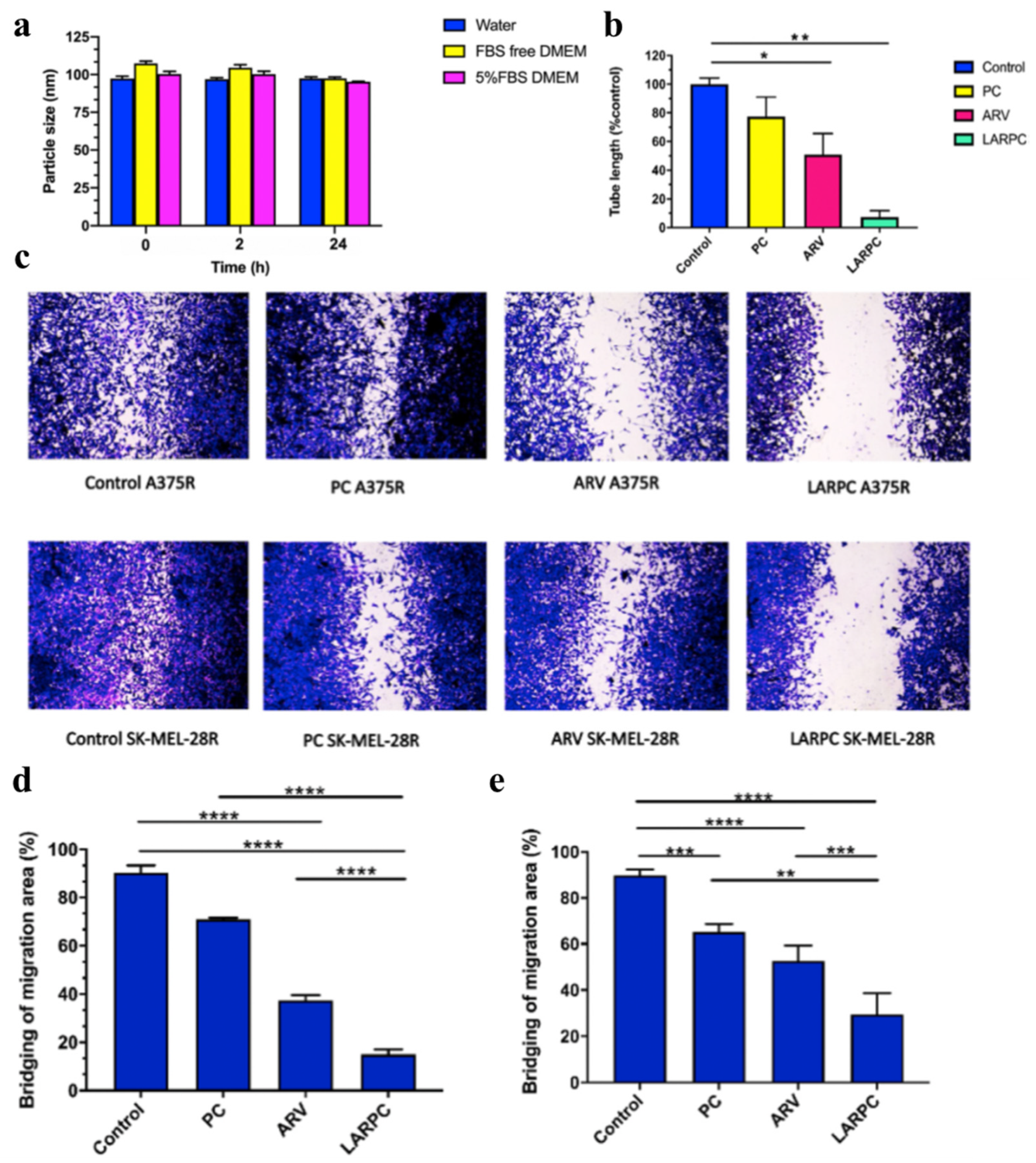 Pharmaceutics 17 00501 g007