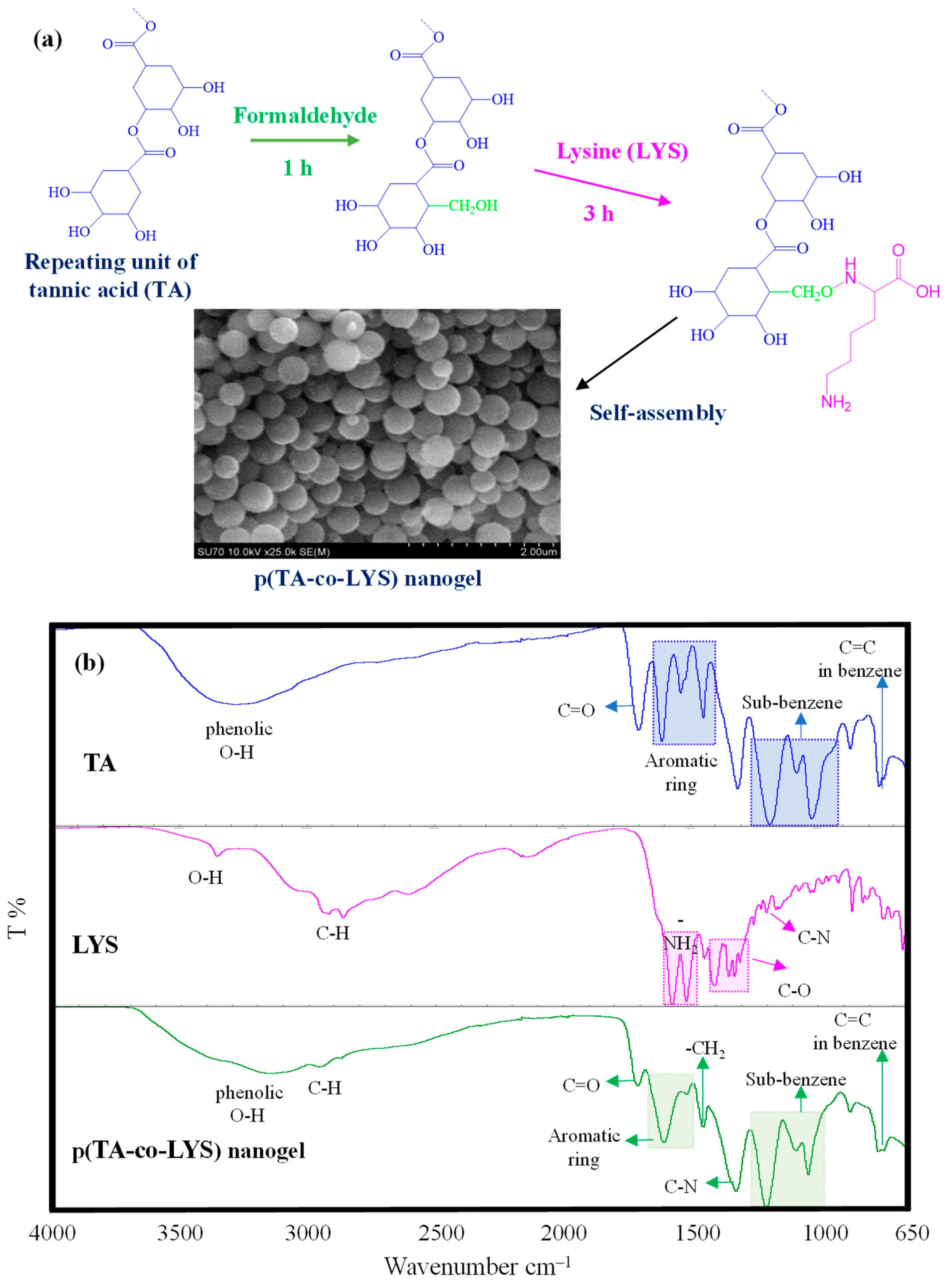 Pharmaceutics 17 00502 g001