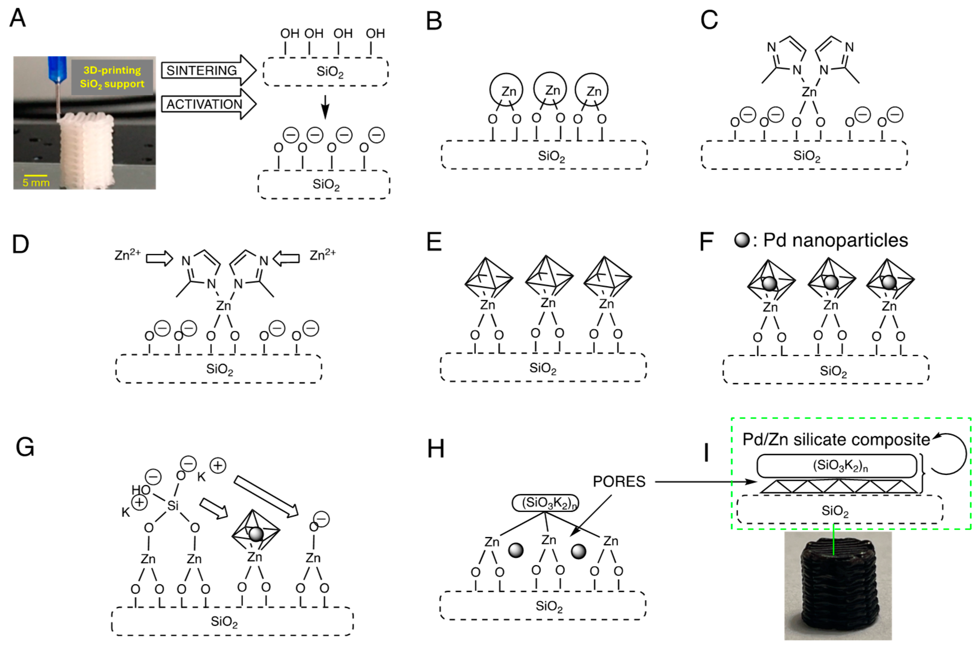 Pharmaceutics 17 00505 g001