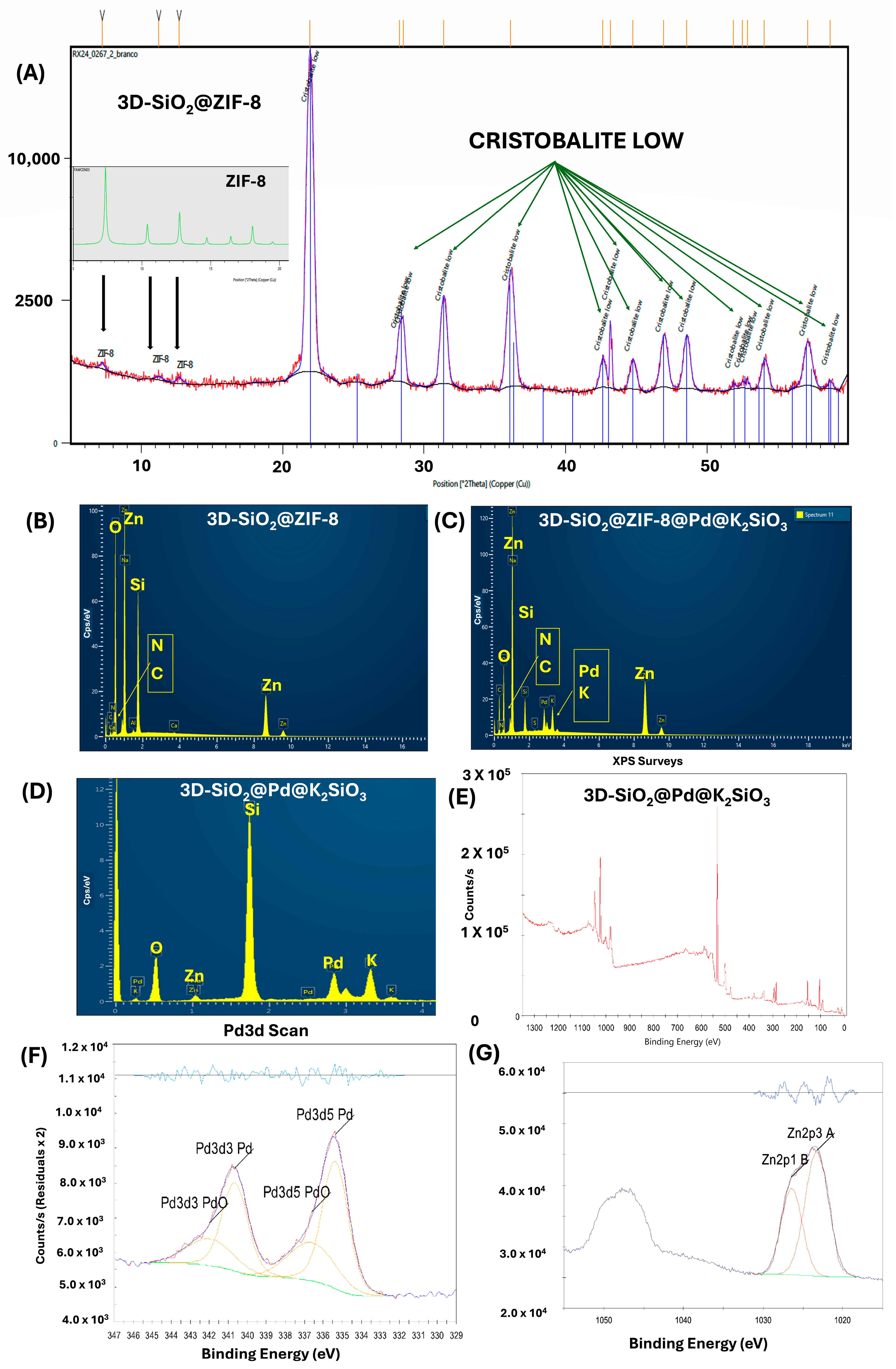 Pharmaceutics 17 00505 g003
