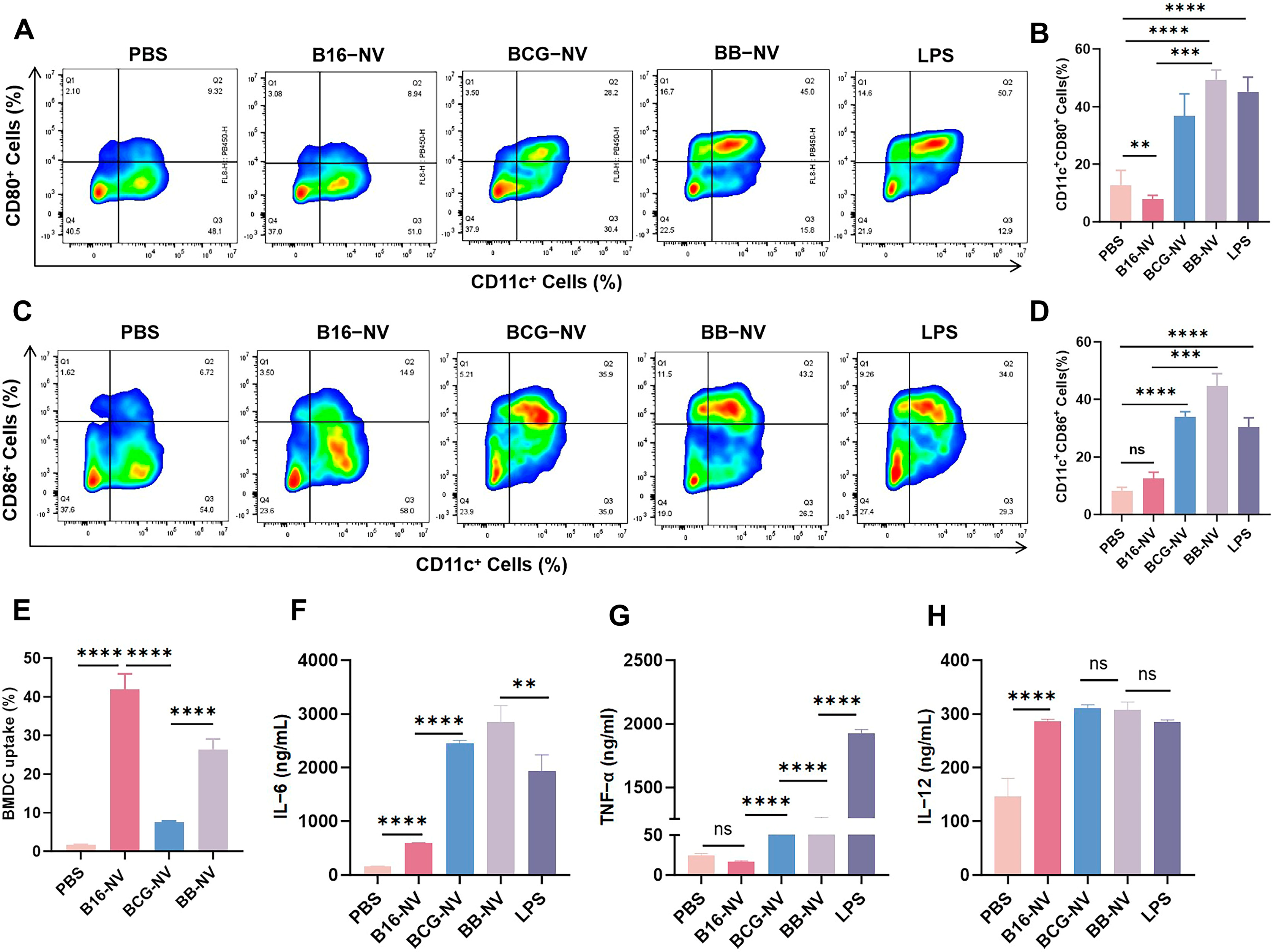 Pharmaceutics 17 00507 g002
