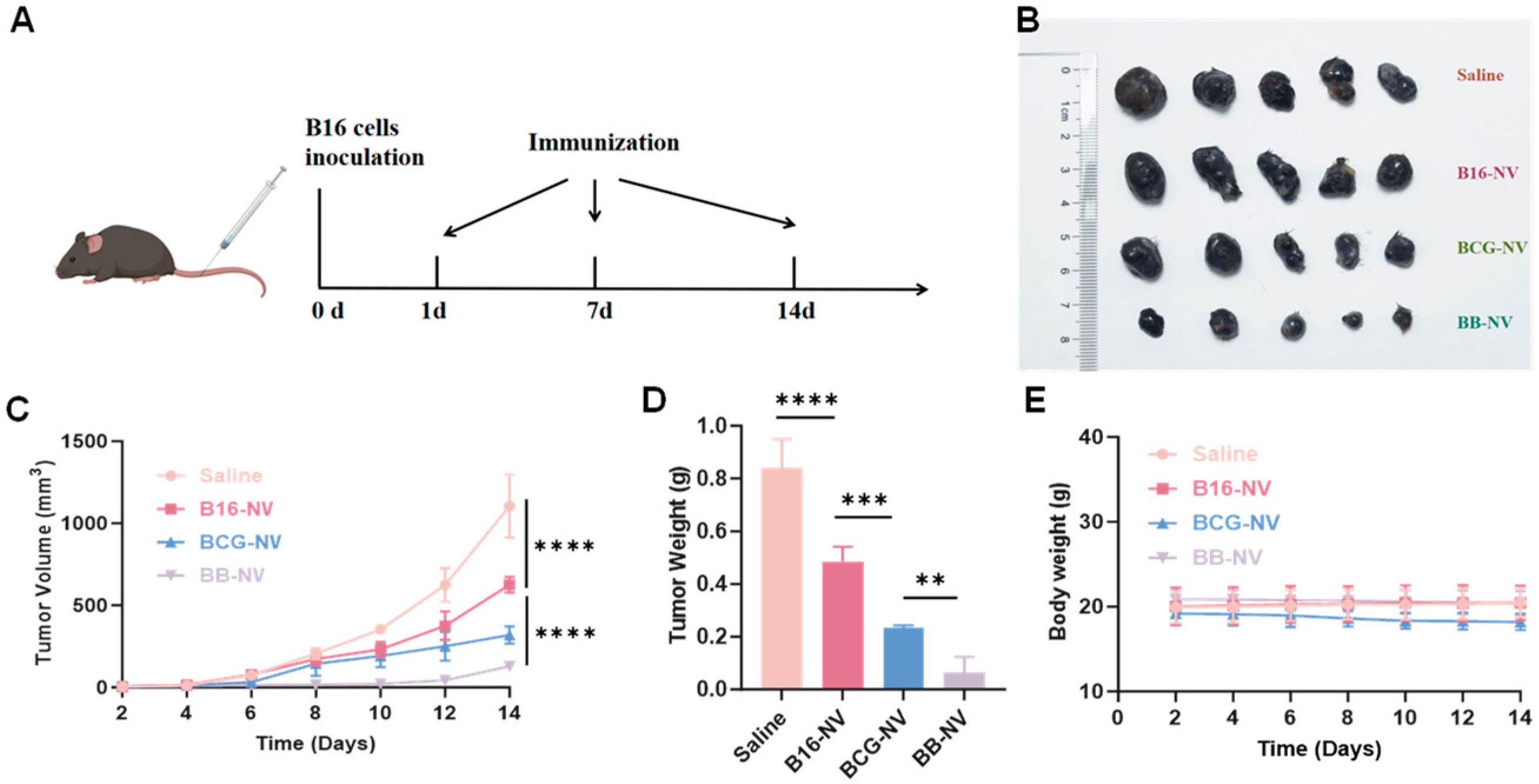 Pharmaceutics 17 00507 g003