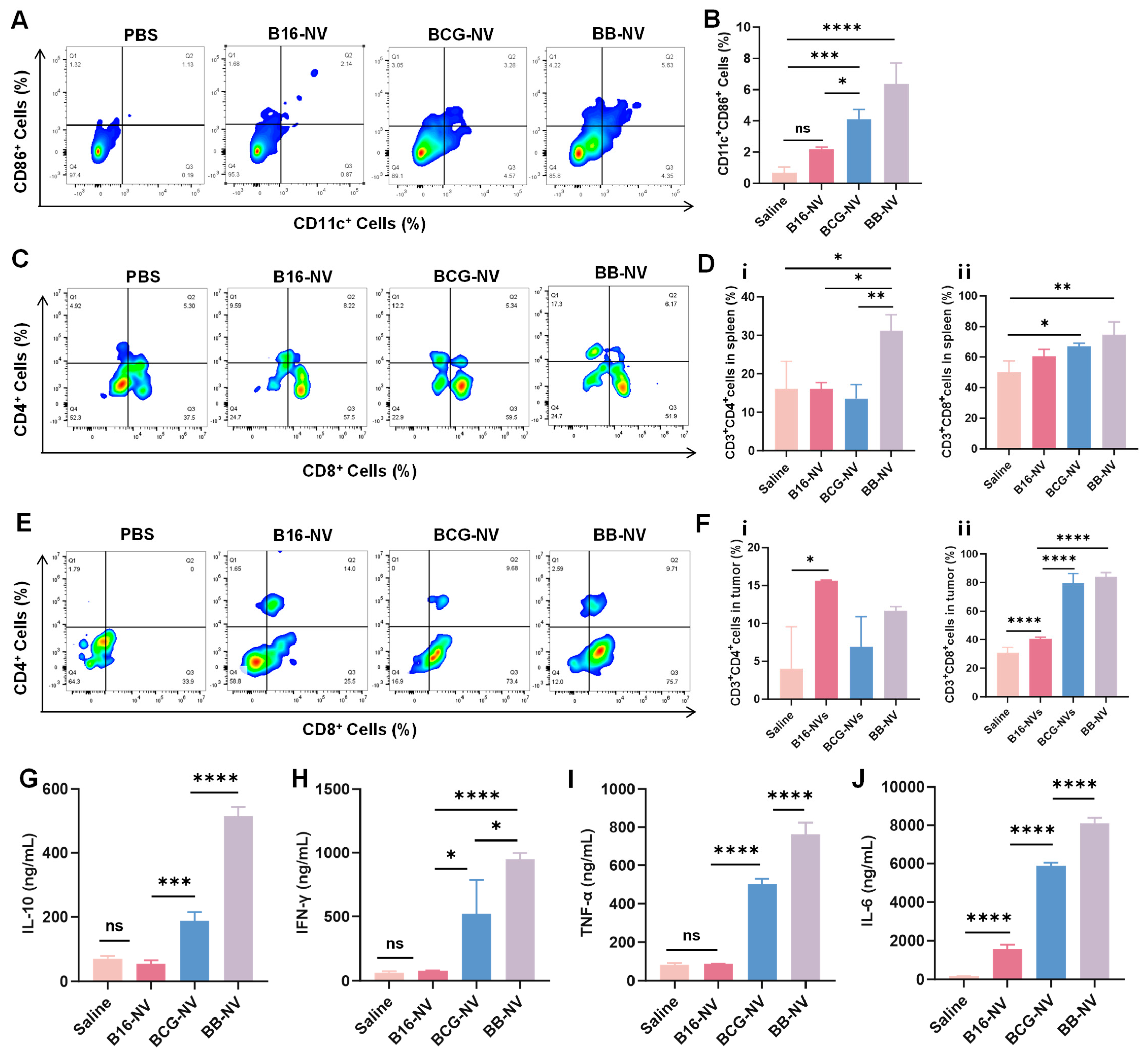 Pharmaceutics 17 00507 g005