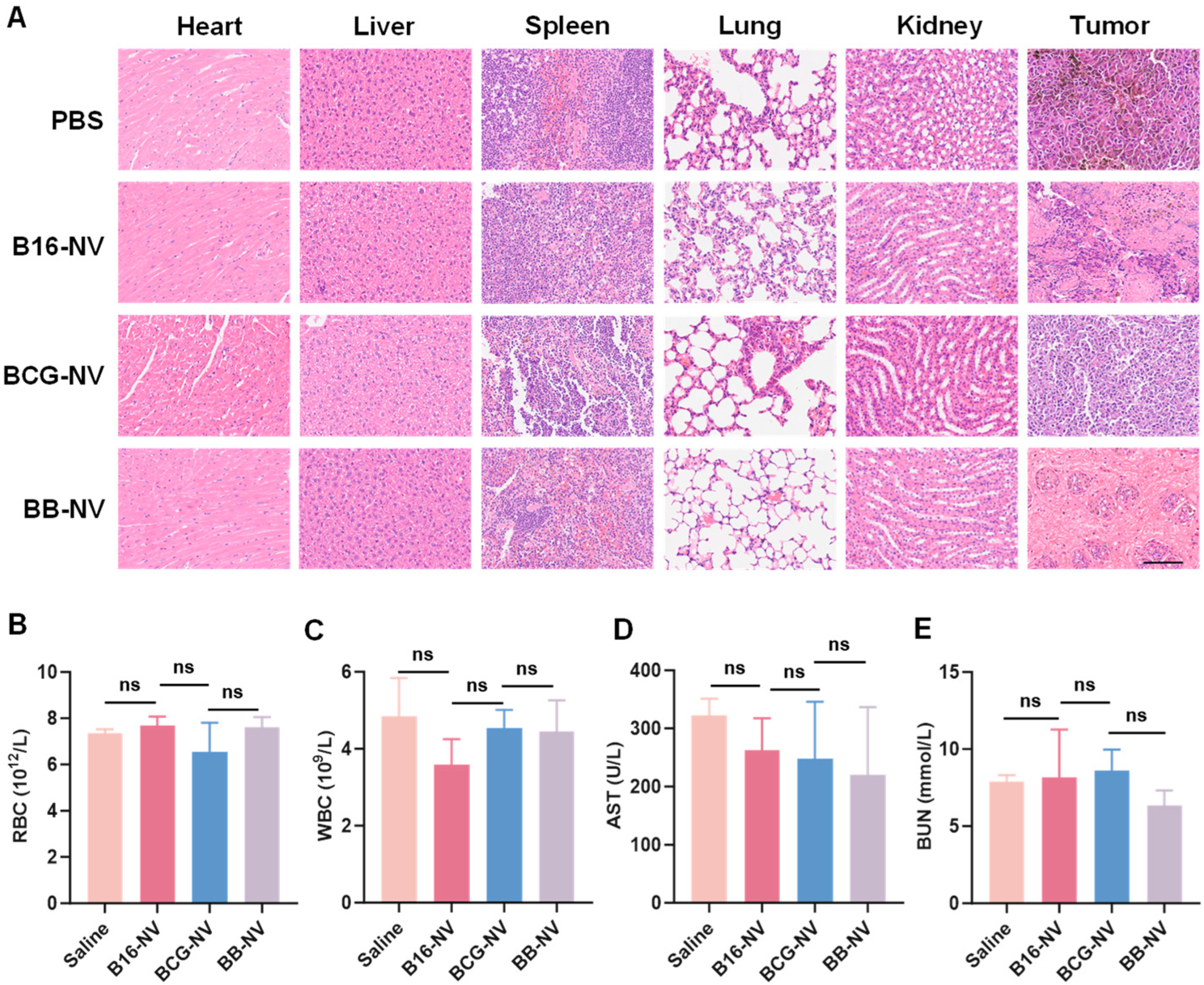 Pharmaceutics 17 00507 g006
