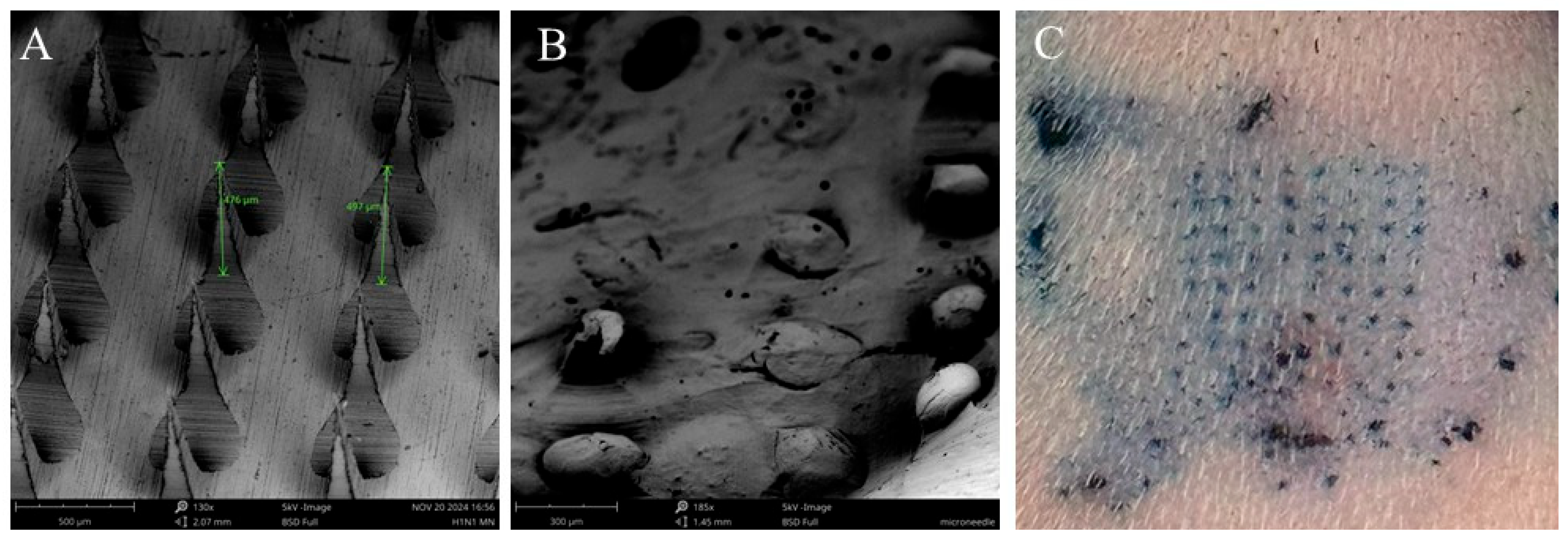 Pharmaceutics 17 00510 g002