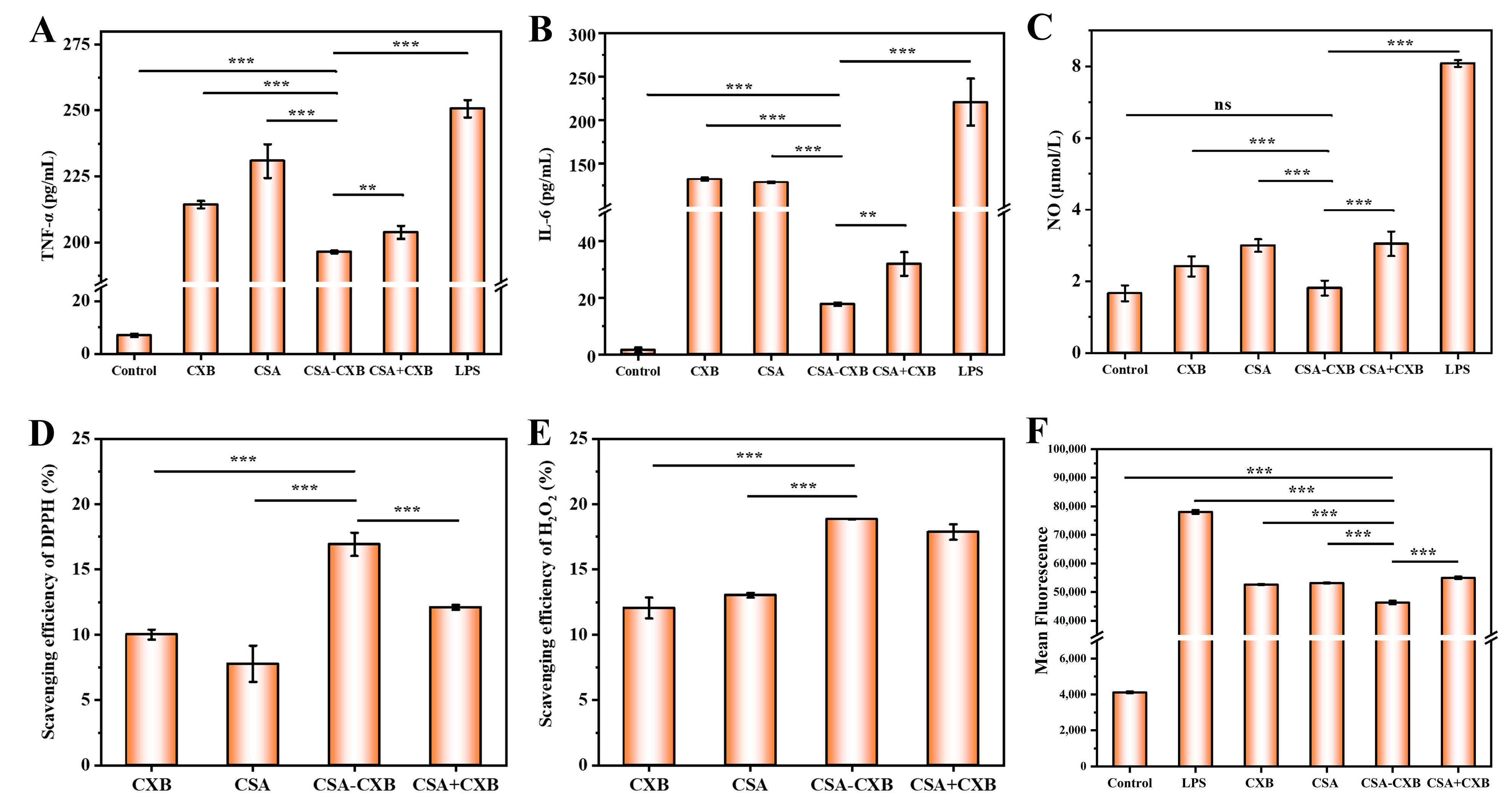 Pharmaceutics 17 00511 g005