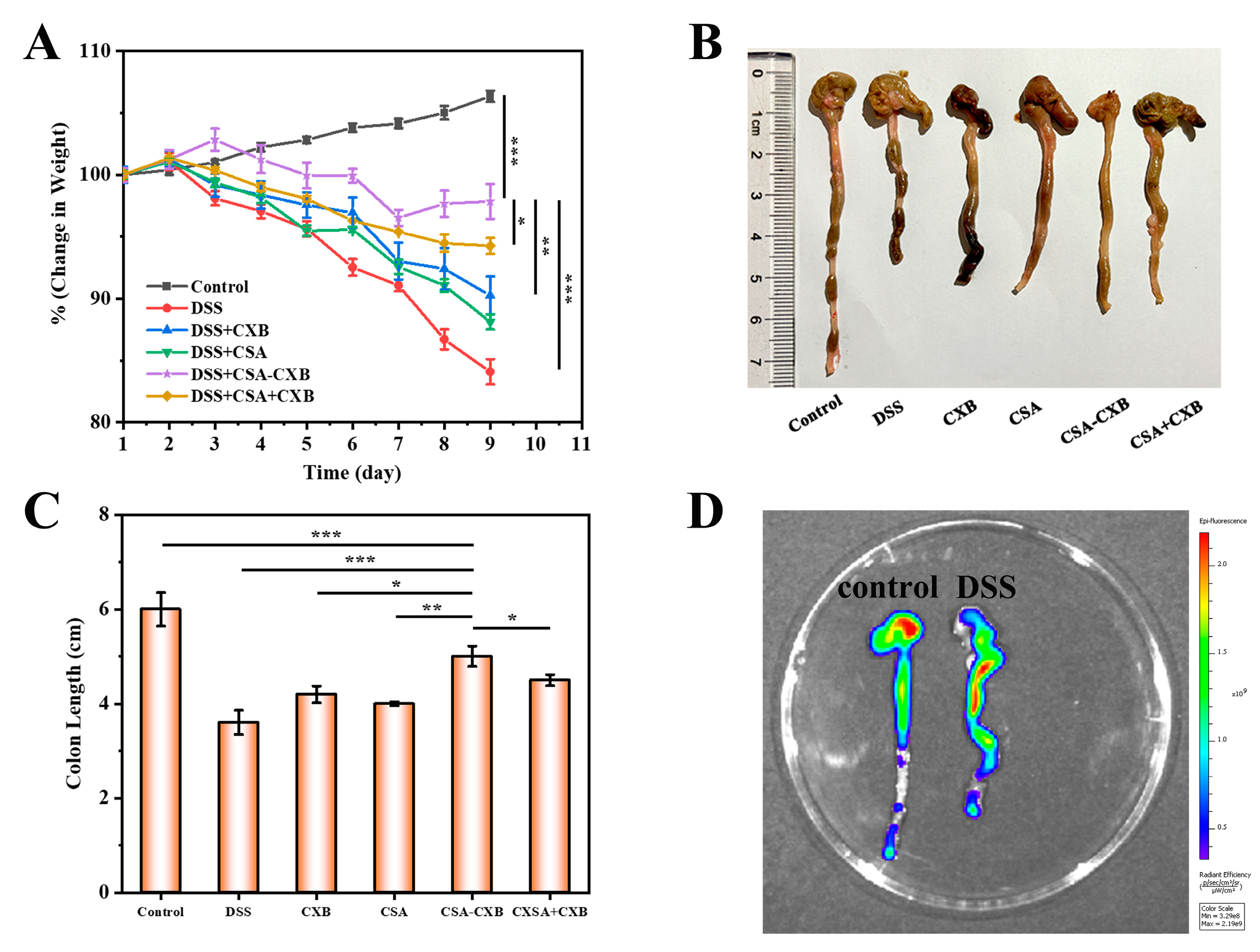 Pharmaceutics 17 00511 g007