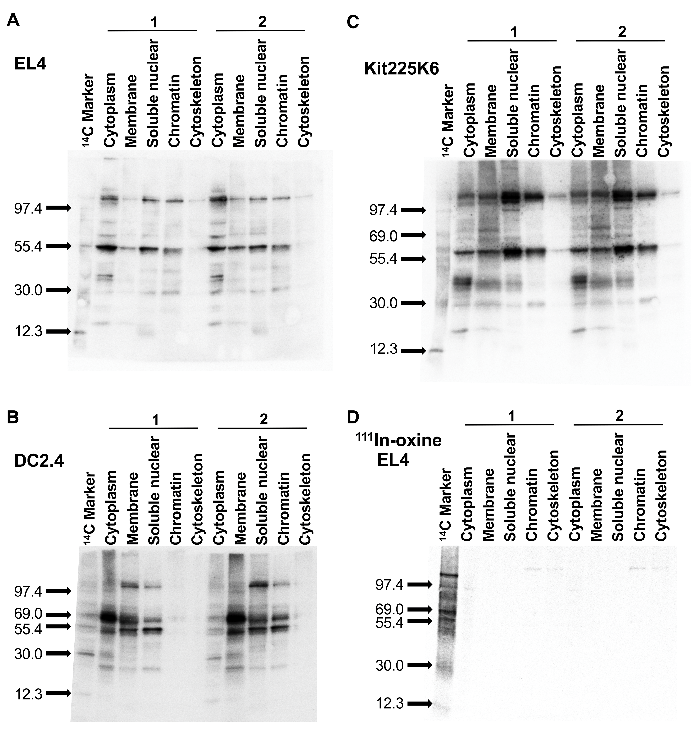 Pharmaceutics 17 00518 g004