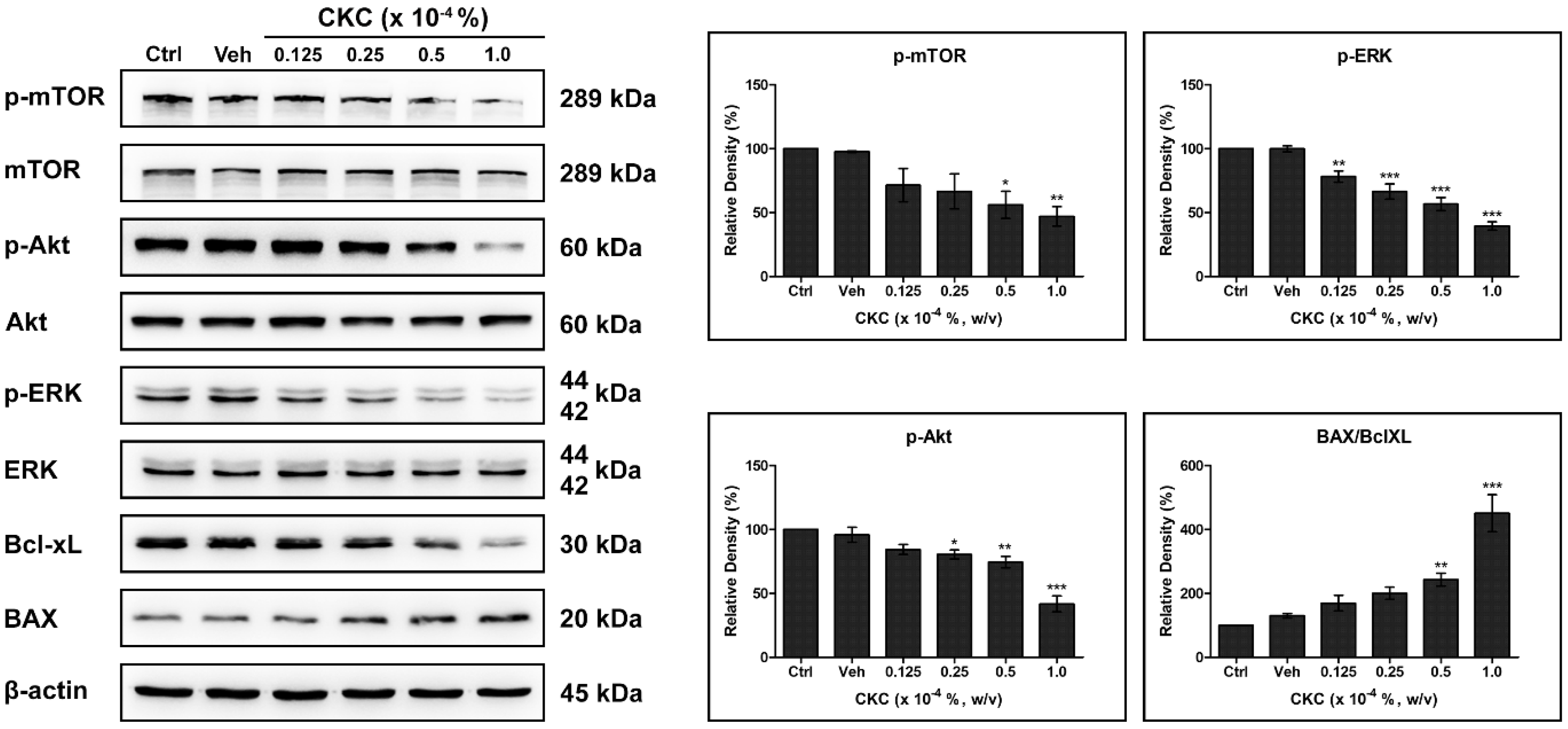 Pharmaceutics 17 00522 g004