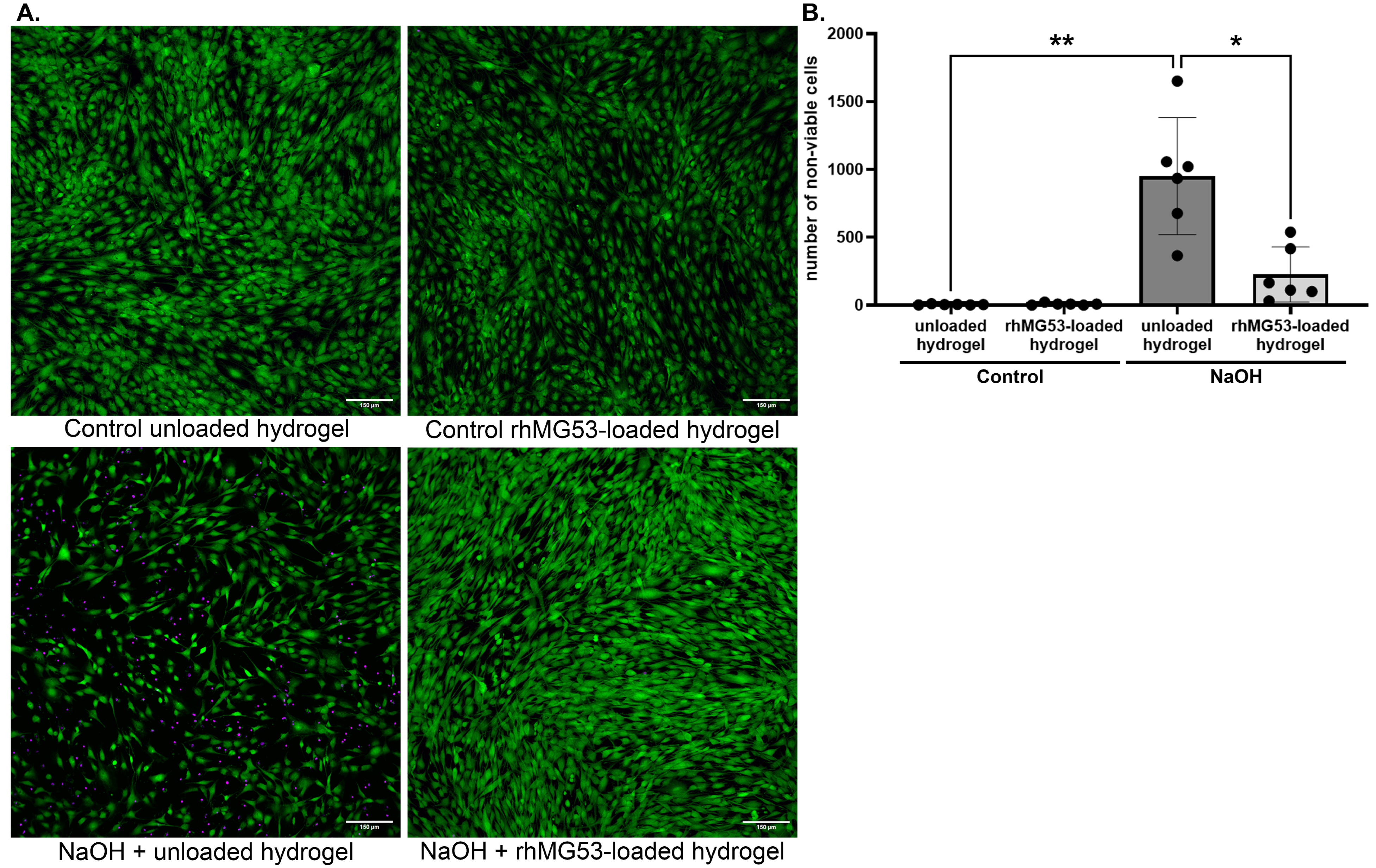 Pharmaceutics 17 00526 g003