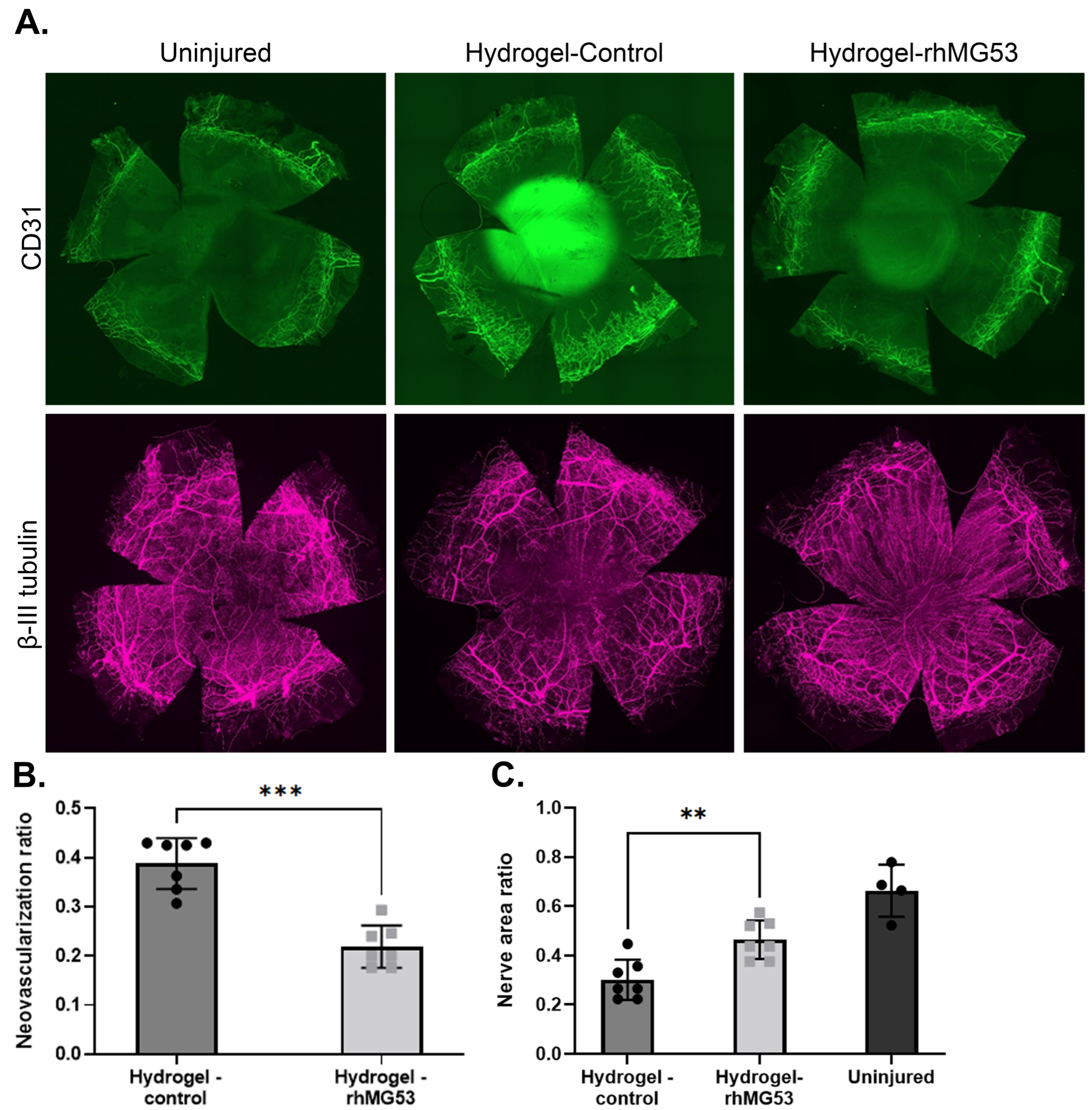 Pharmaceutics 17 00526 g006